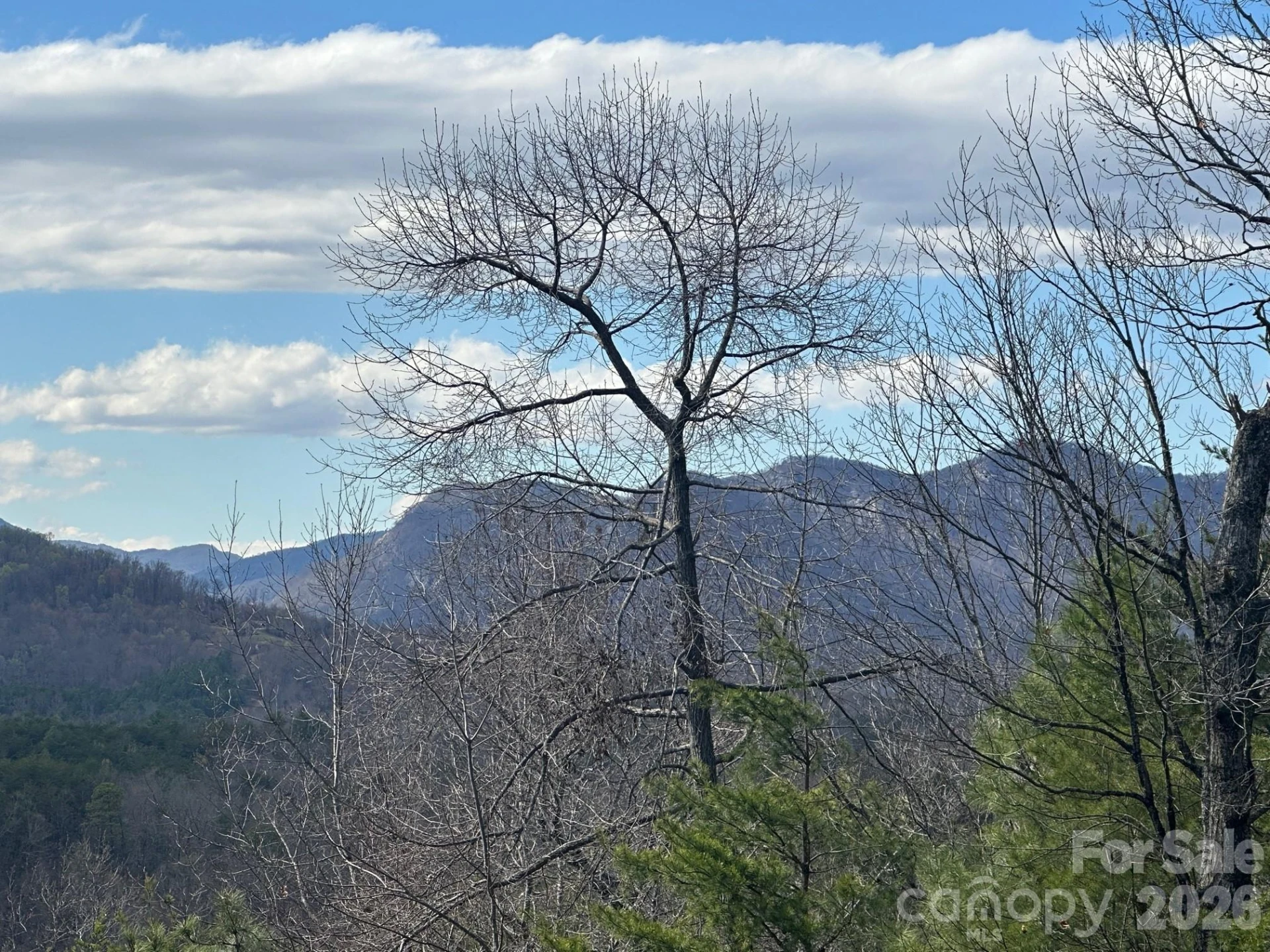 0000 Boulder Ridge - Photo 9