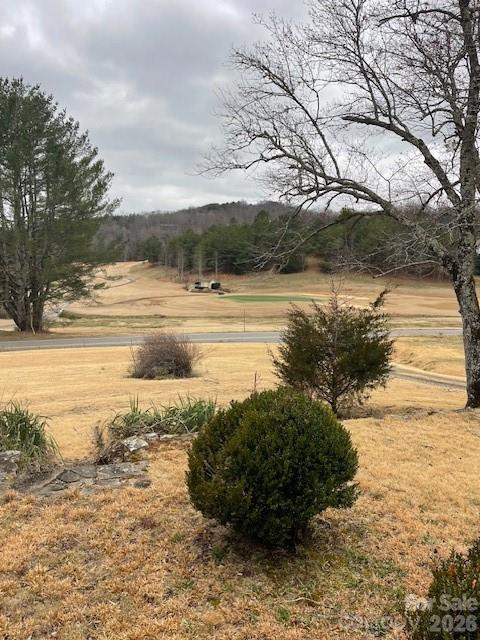 598 Buffalo Creek Road - Photo 3