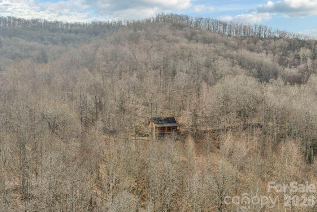 461 Arrowhead Ridge Road - Photo 36