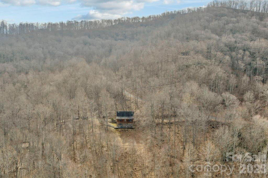 461 Arrowhead Ridge Road - Photo 38