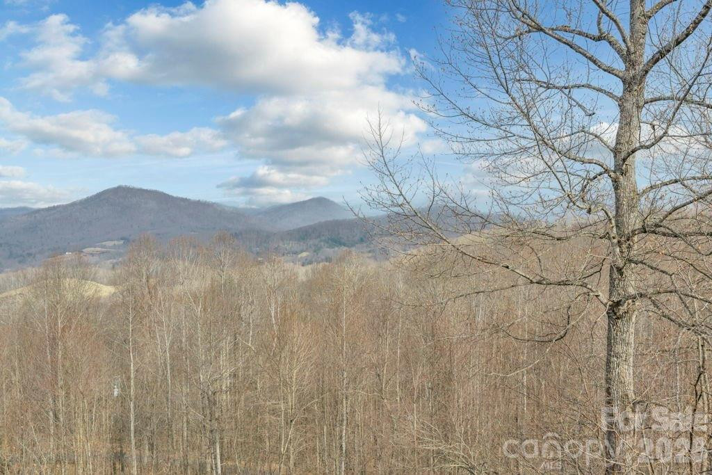 461 Arrowhead Ridge Road - Photo 40