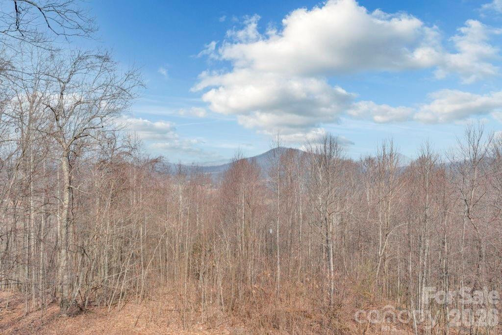 461 Arrowhead Ridge Road - Photo 41