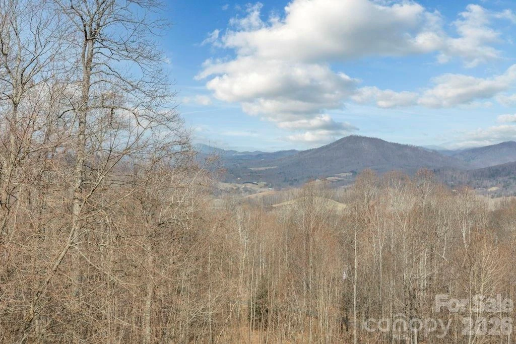 461 Arrowhead Ridge Road - Photo 42