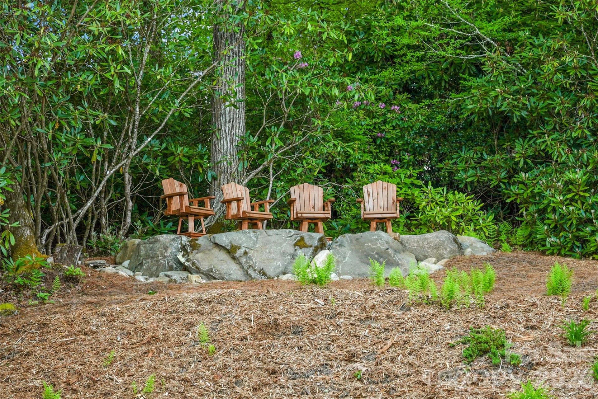 3434 Old Jonas Ridge Road - Photo 37