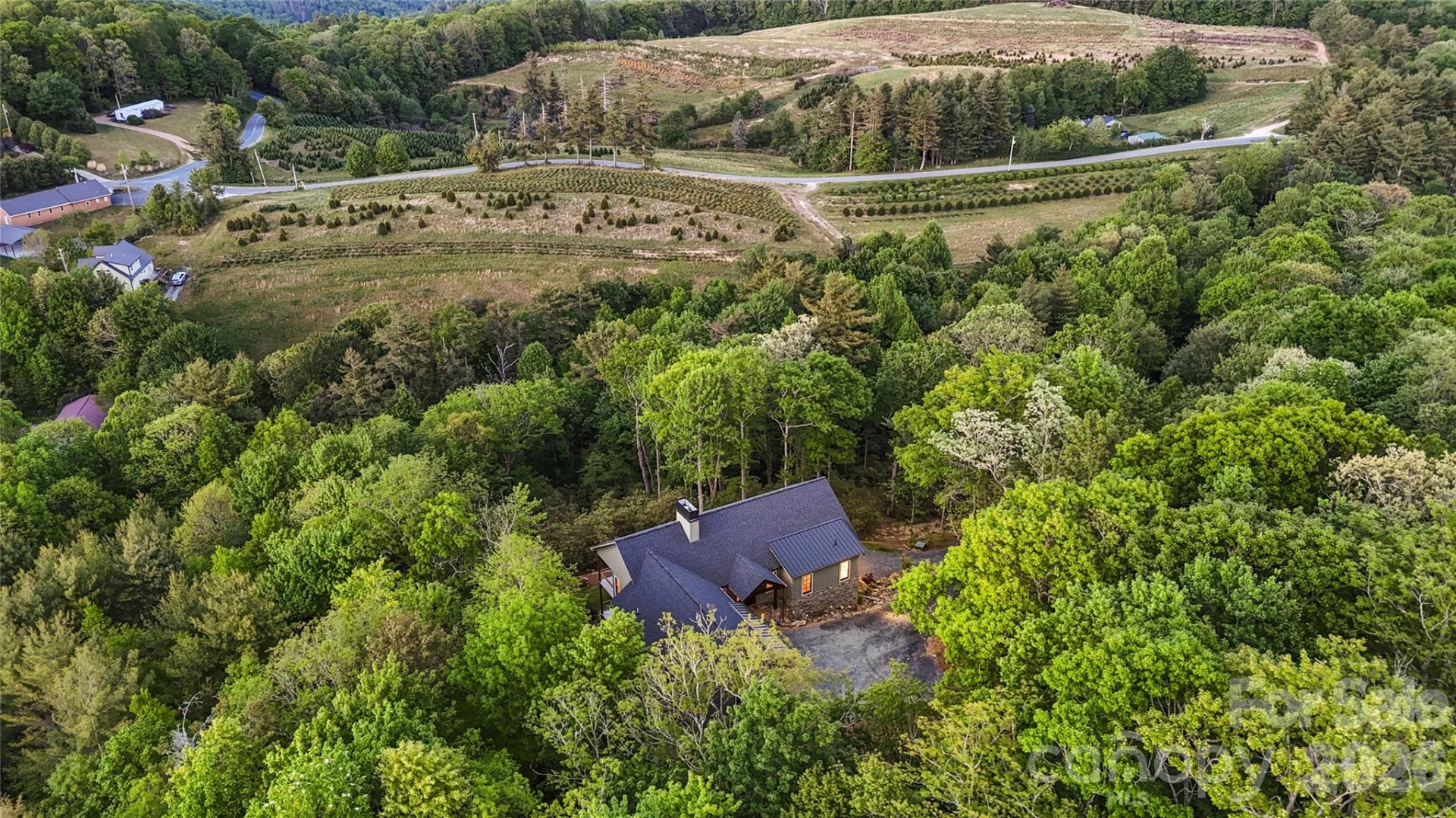 3434 Old Jonas Ridge Road - Photo 39