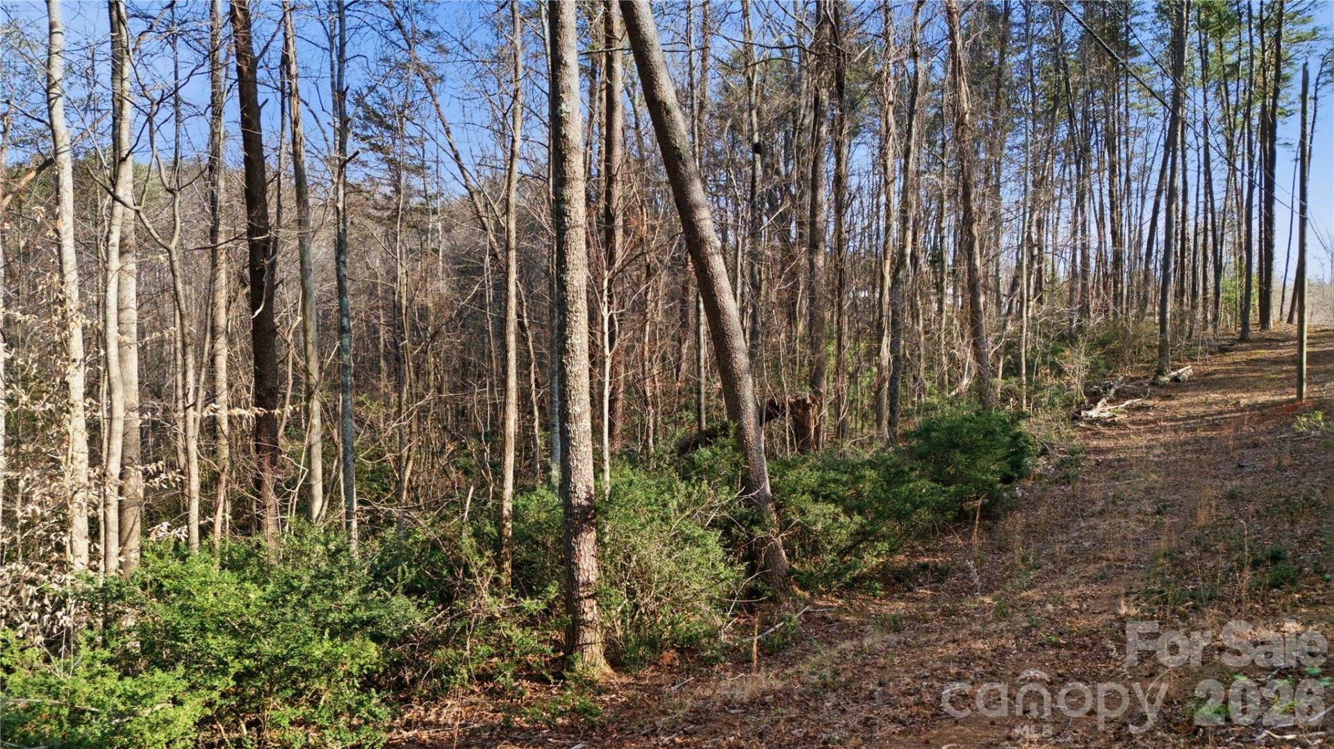 0 Hooker Road - Photo 13