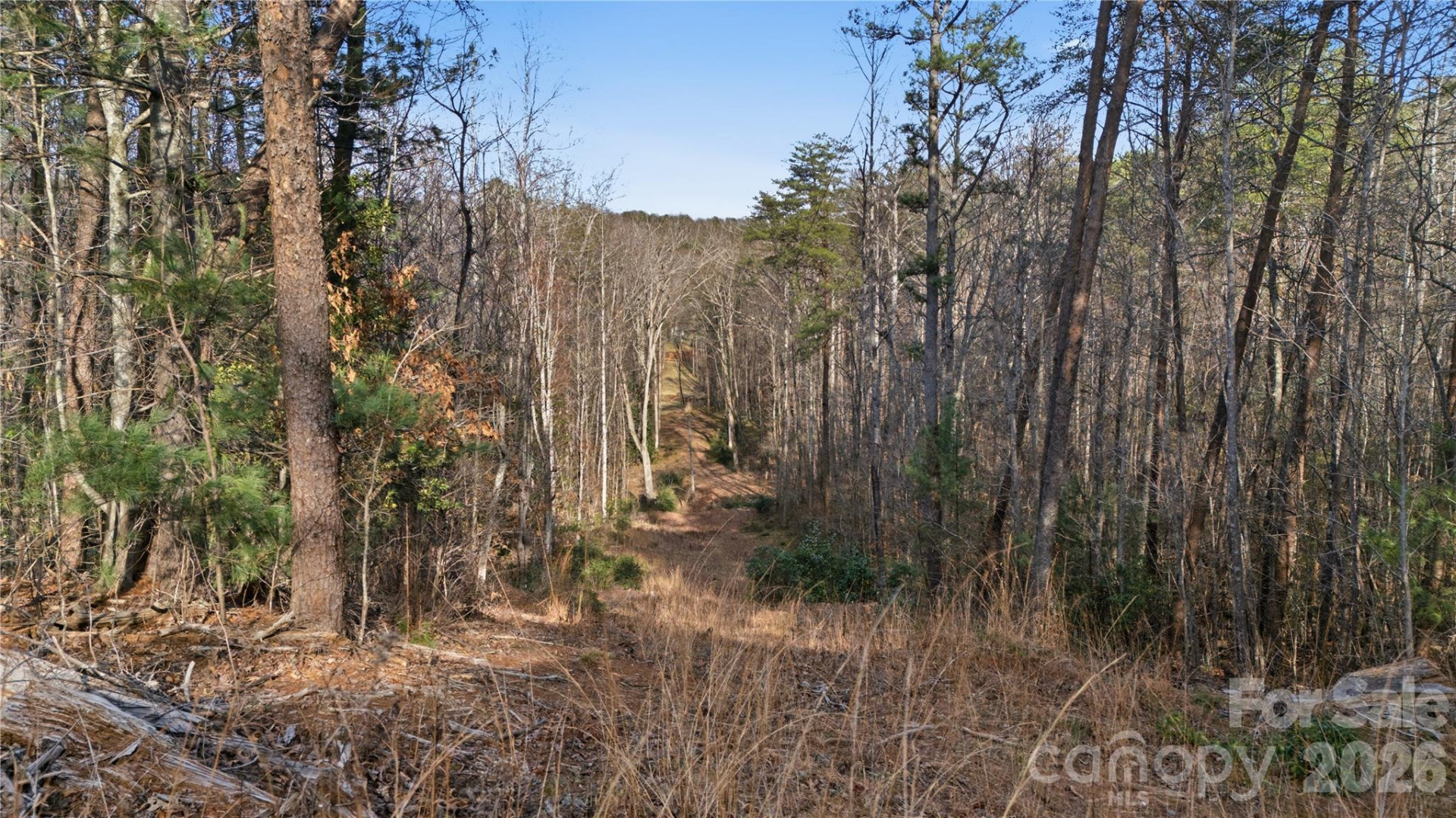 0 Hooker Road - Photo 18