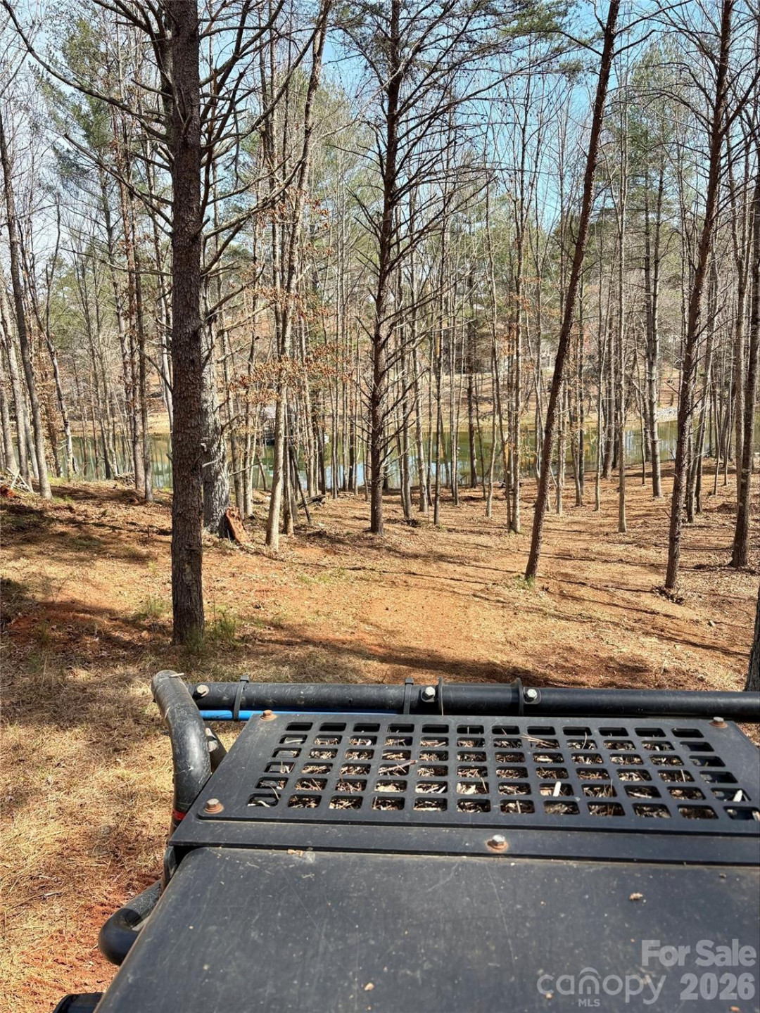 2289 Castle Peak Mountain Mountain #133 - Photo 3