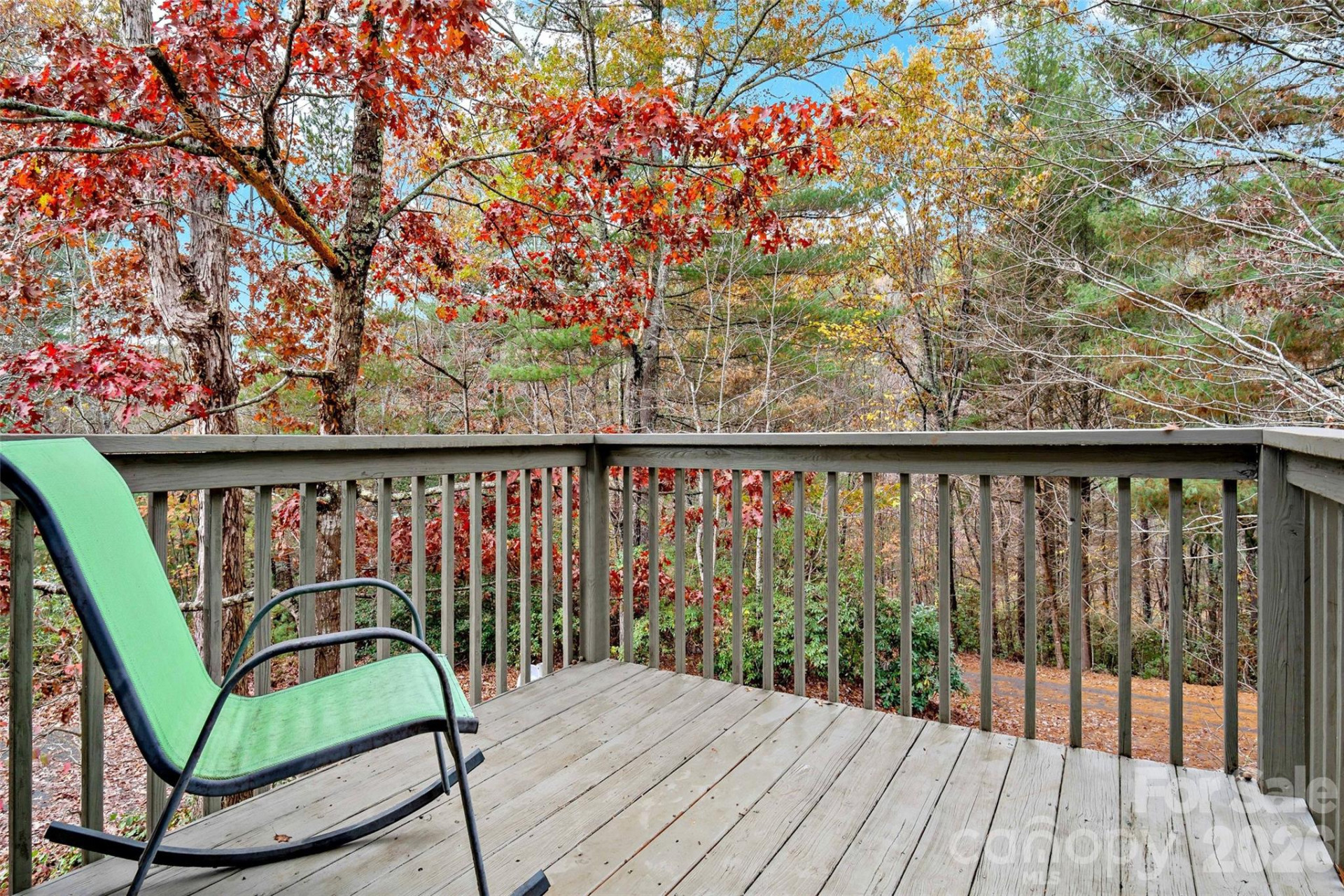 65 Gypsy Mountain Drive - Photo 20