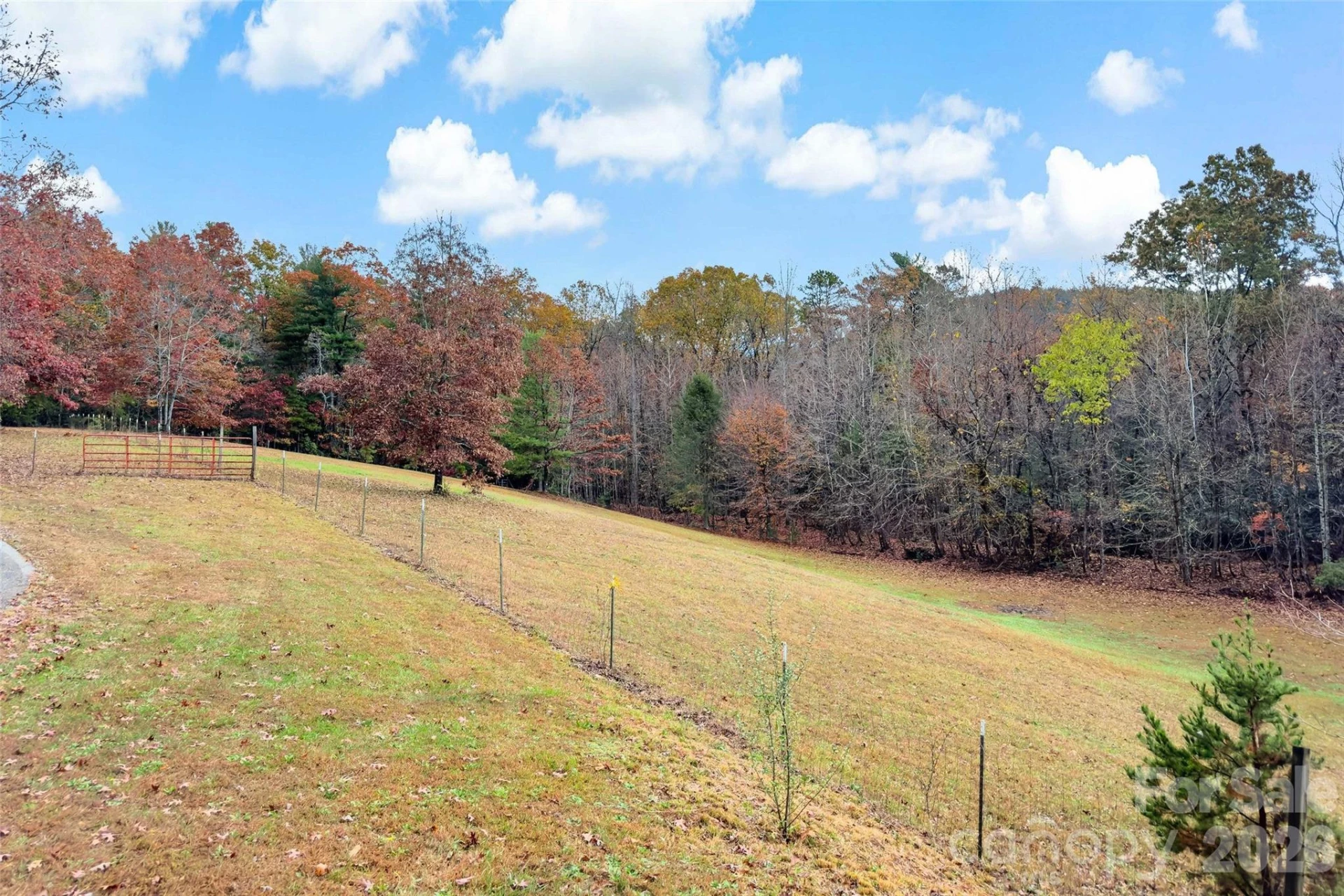 65 Gypsy Mountain Drive - Photo 3