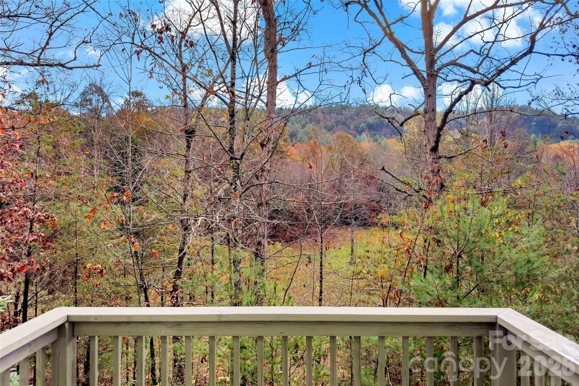 65 Gypsy Mountain Drive - Photo 41