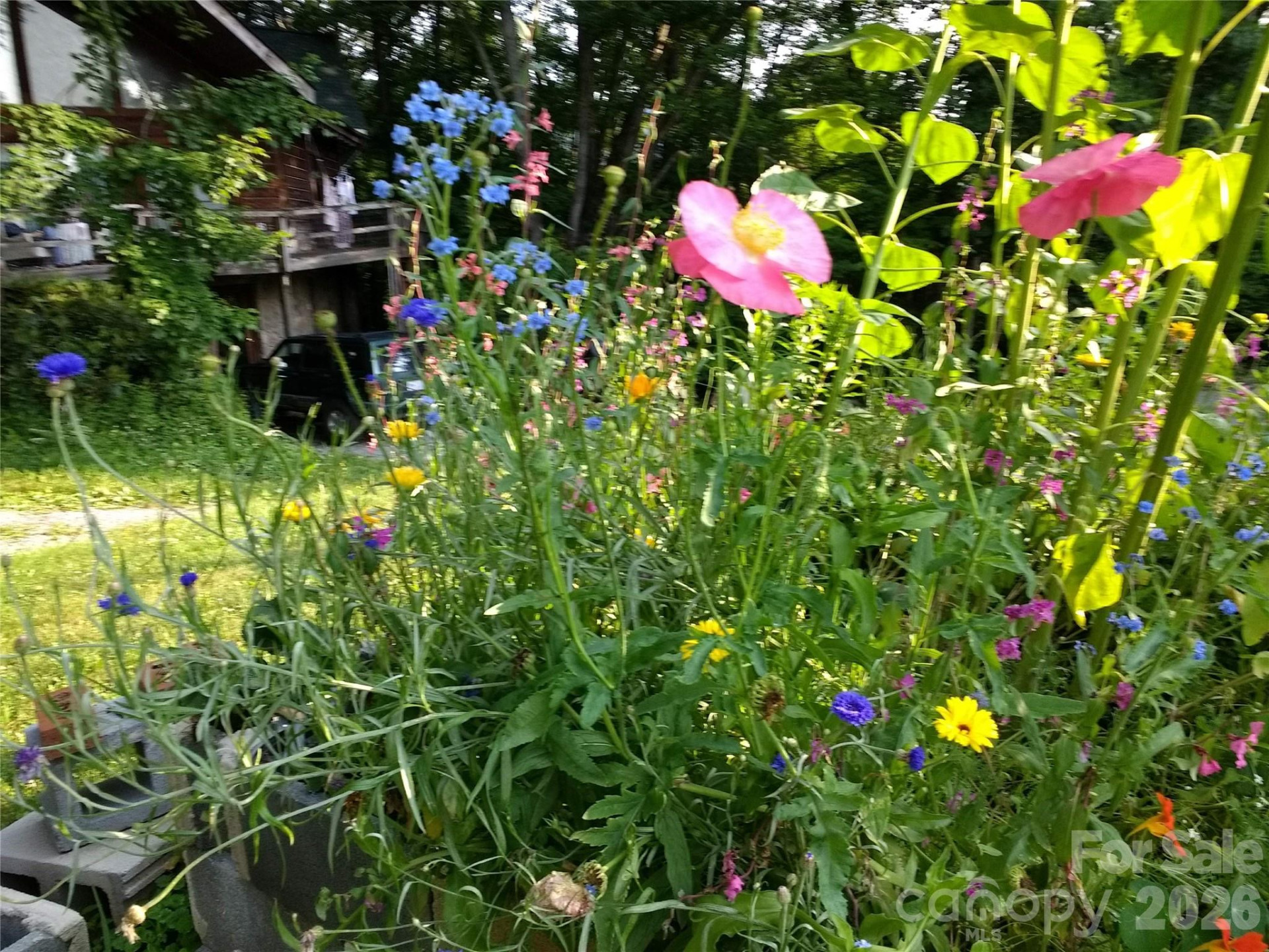 429 Biodome Drive - Photo 32