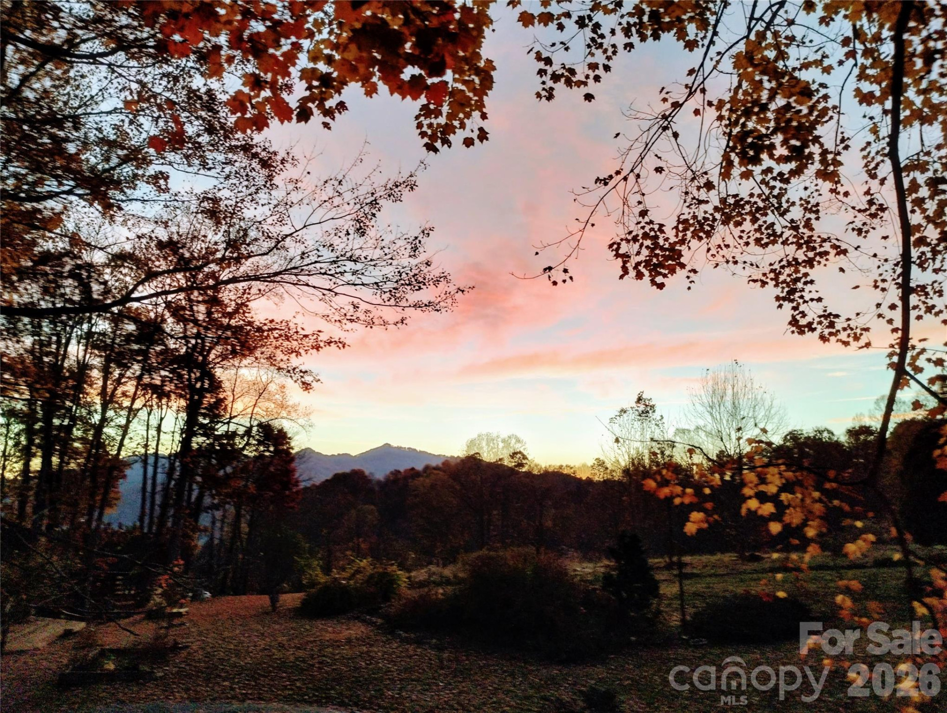 429 Biodome Drive - Photo 33