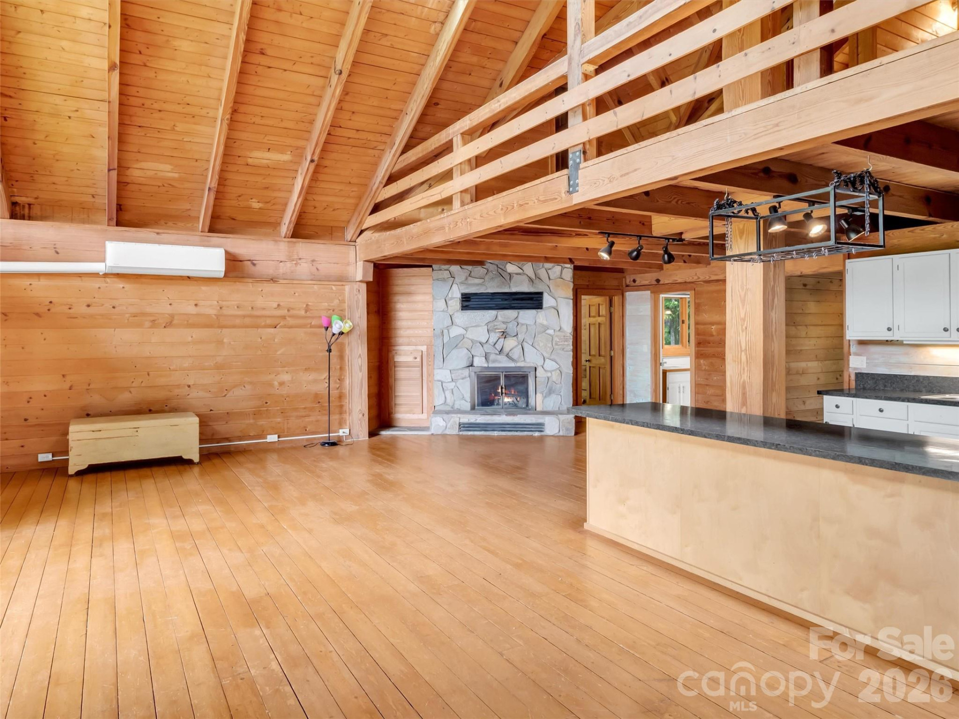 429 Biodome Drive - Photo 9