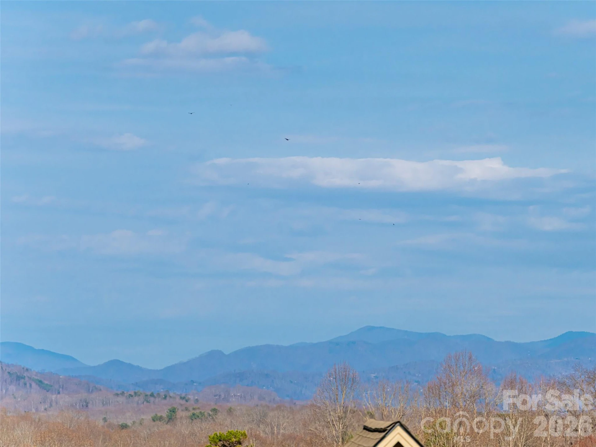 1031 Hillside Ridge Road - Photo 43