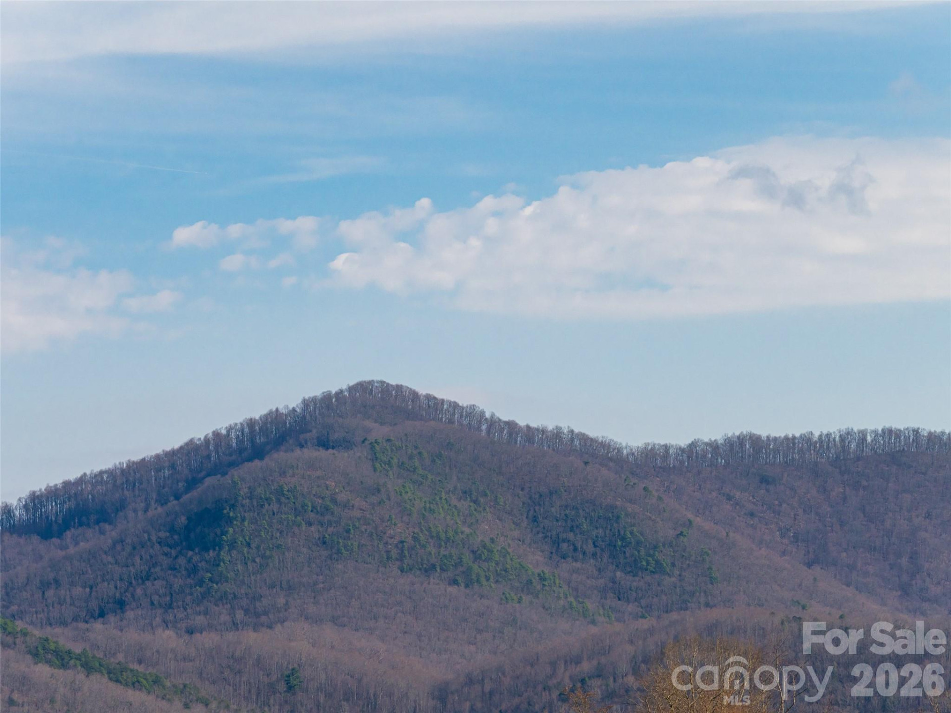 1031 Hillside Ridge Road - Photo 40