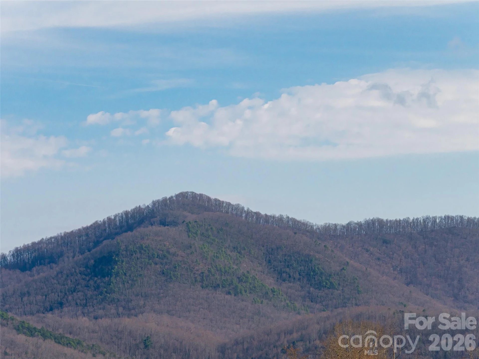 1031 Hillside Ridge Road - Photo 44