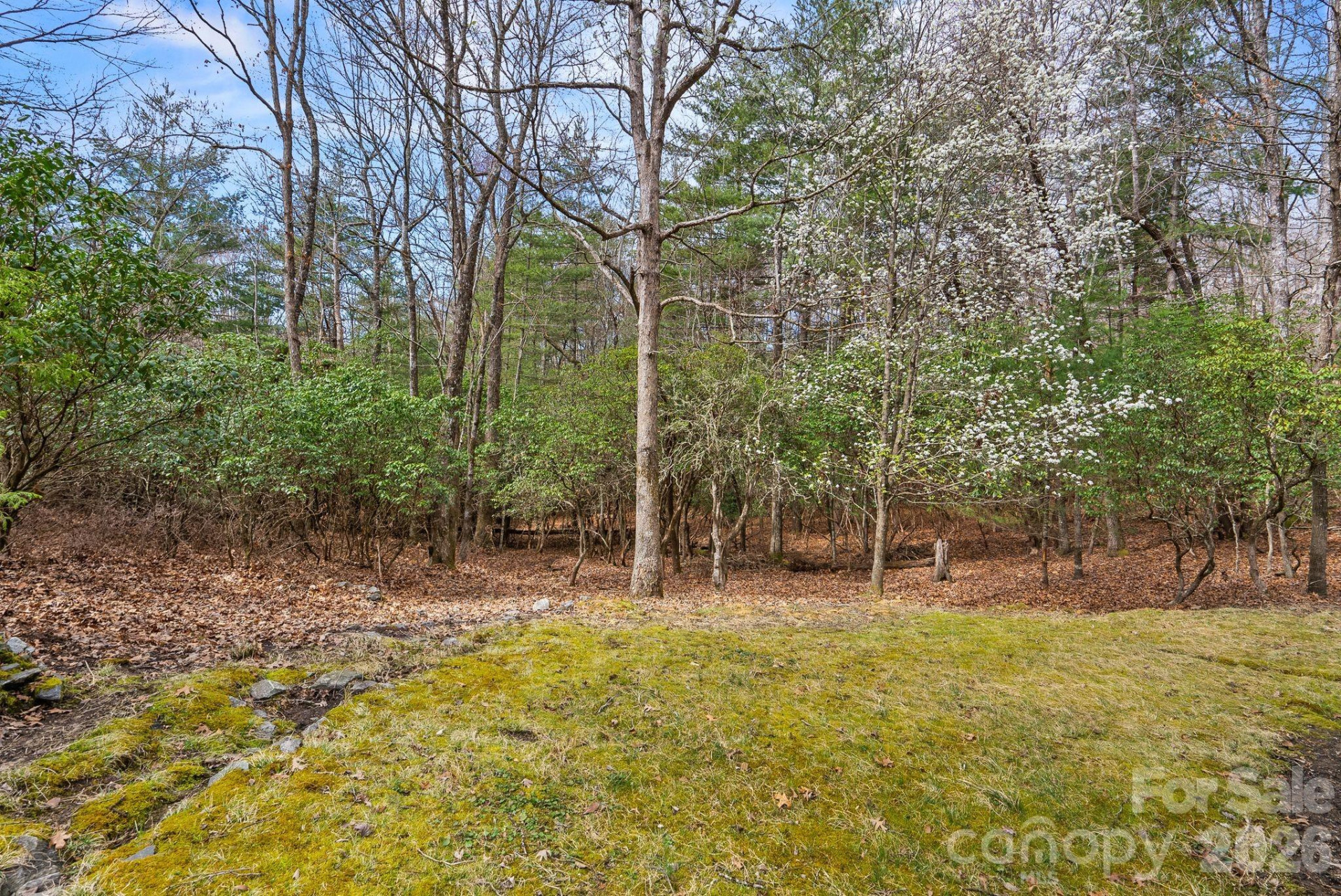 75 Wodigeasgohi Drive - Photo 30