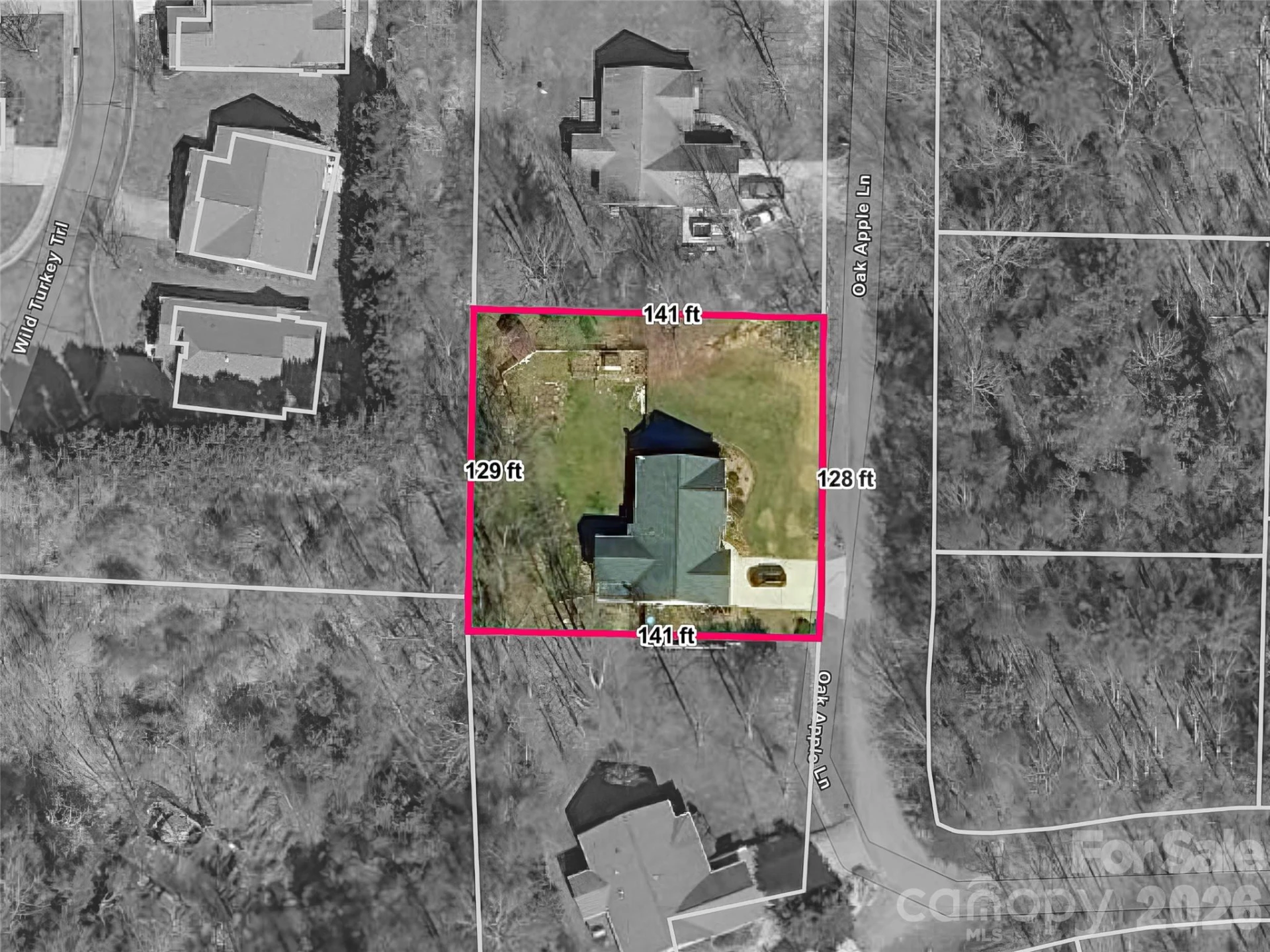 163 Oak Apple Lane - Photo 32