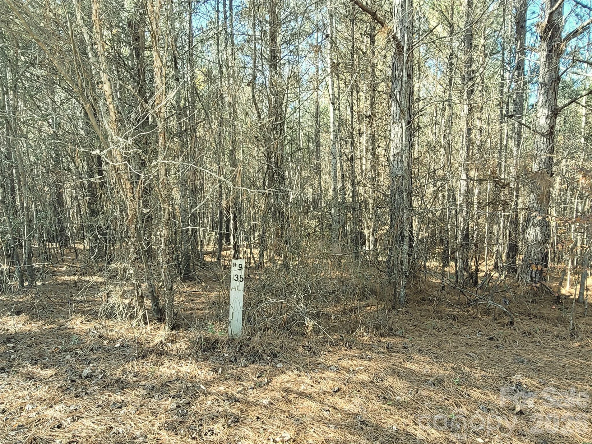 0 Farmer Johns Trail #9 - Photo 11