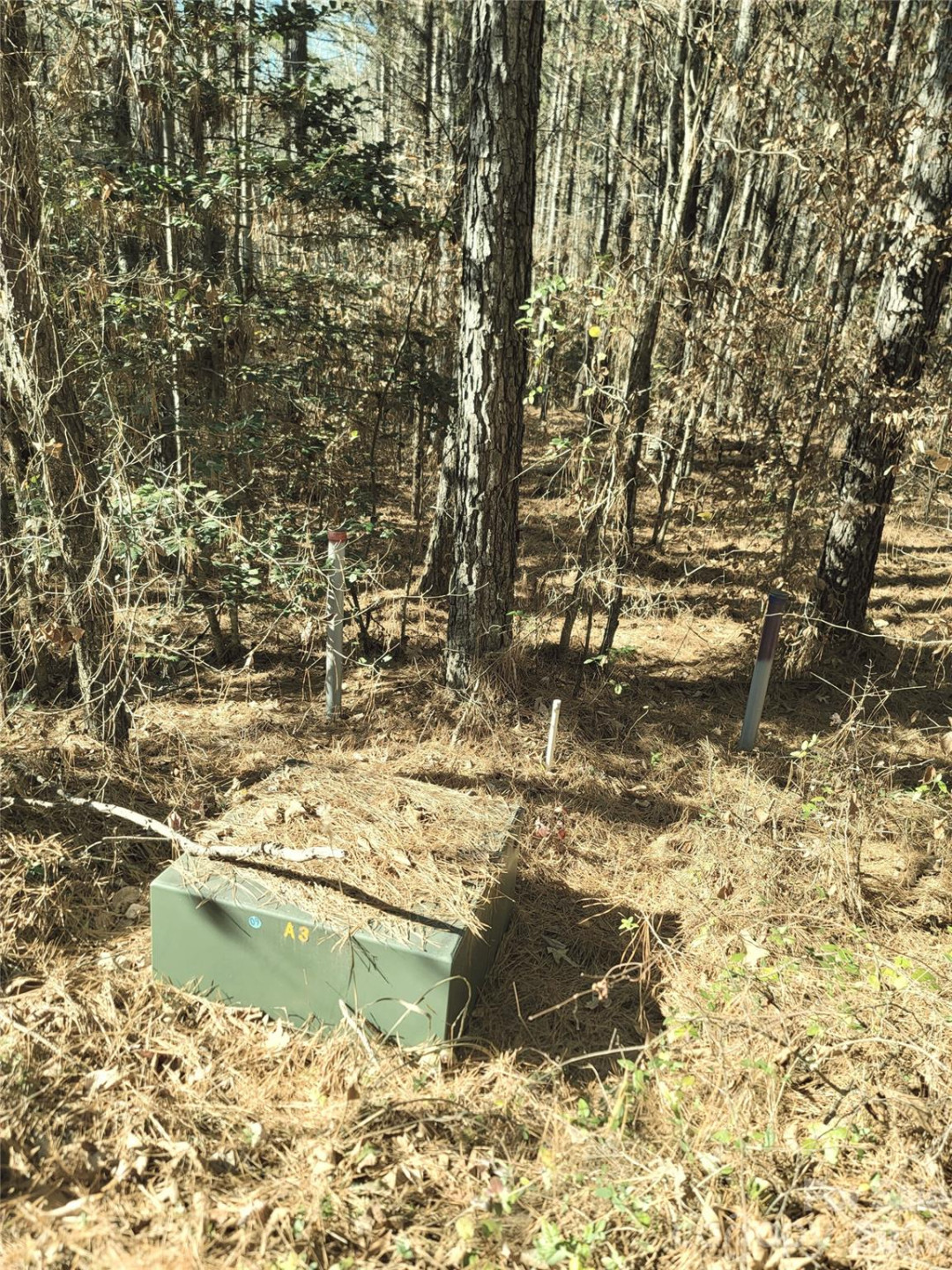 0 Farmer Johns Trail #9 - Photo 12