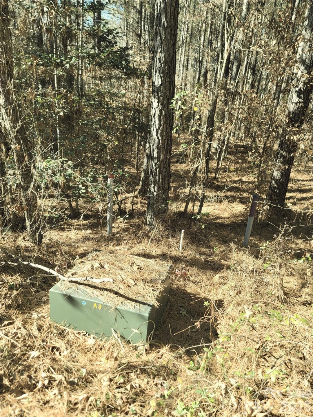 0 Farmer Johns Trail #9 - Photo 12