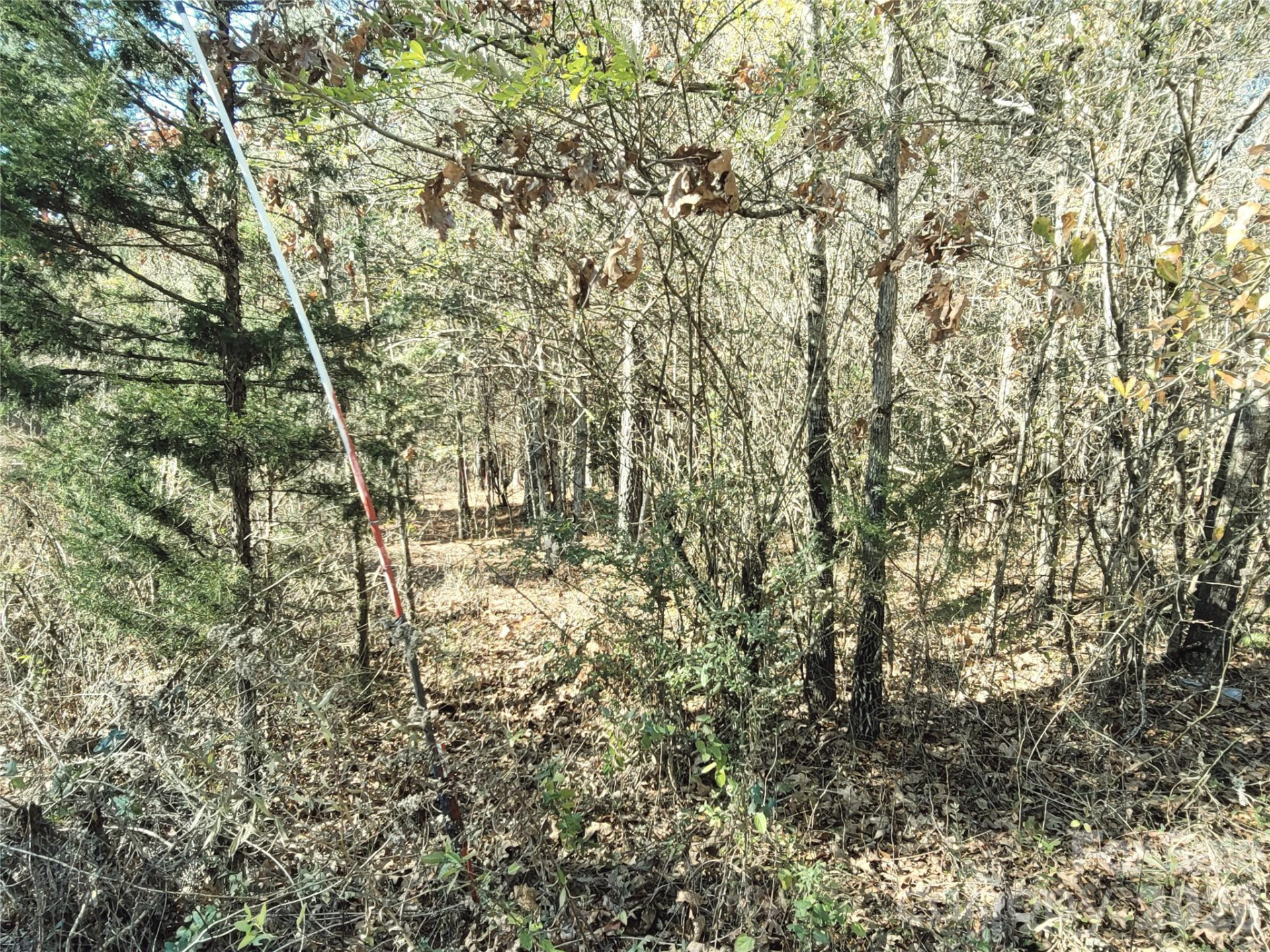 0 Farmer Johns Trail #9 - Photo 14