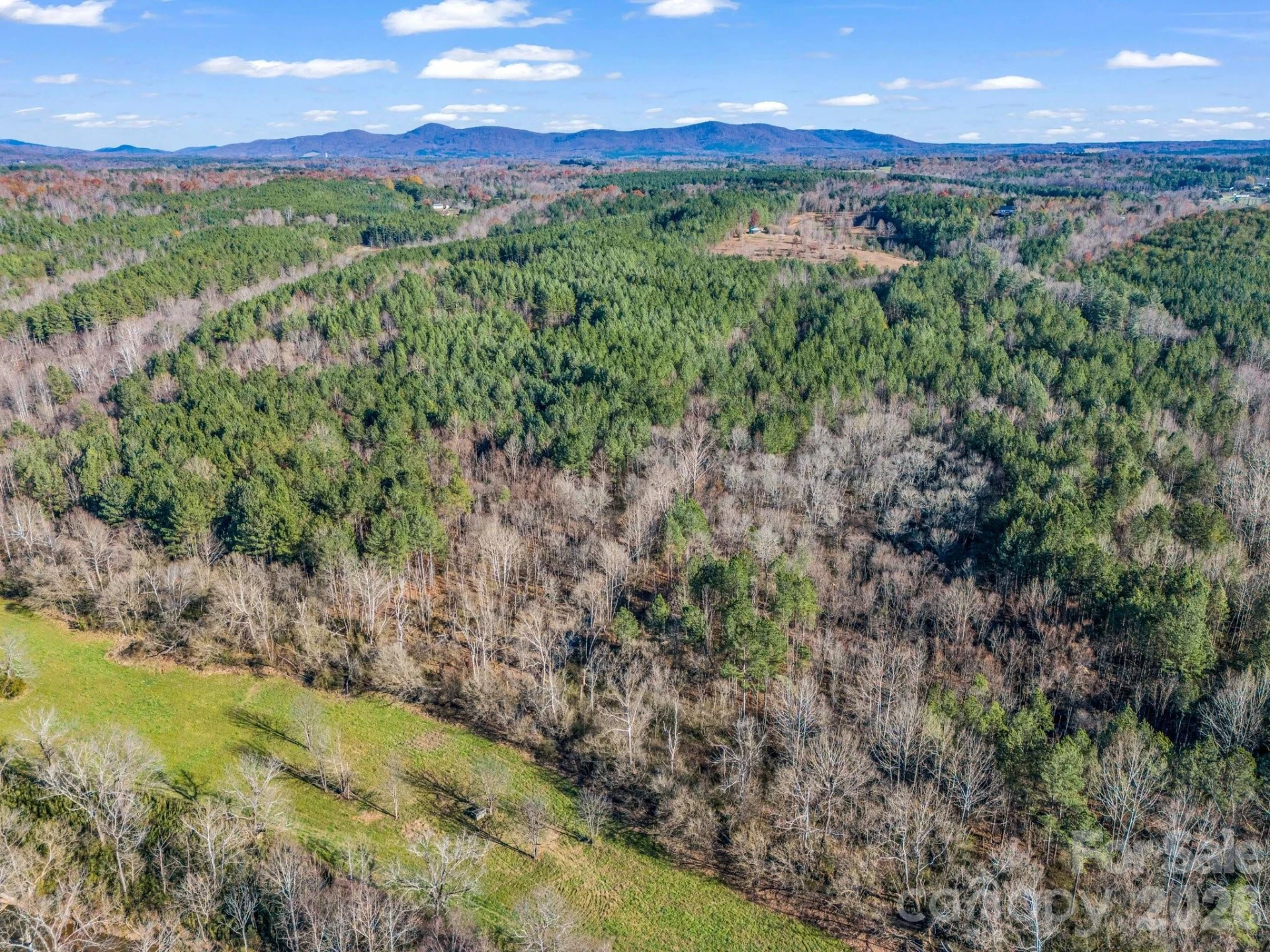 0 Farmer Johns Trail #9 - Photo 15