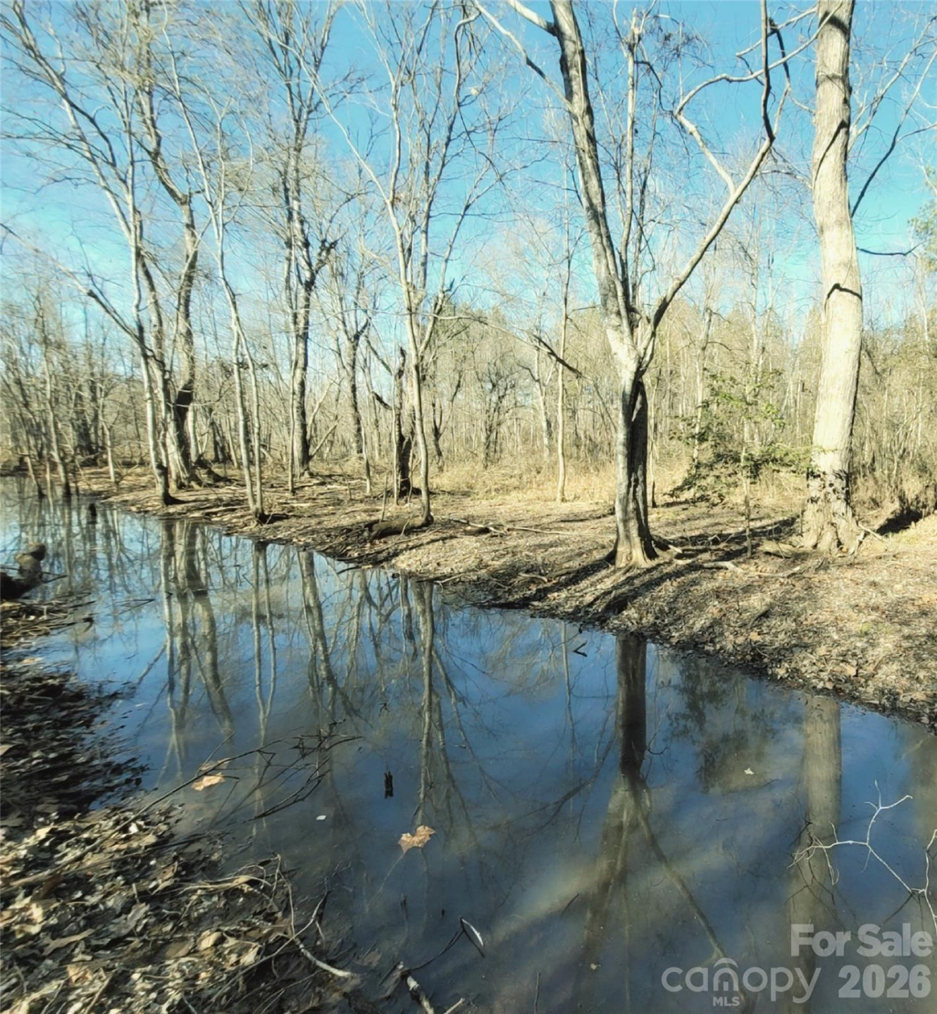 0 Farmer Johns Trail #9 - Photo 3