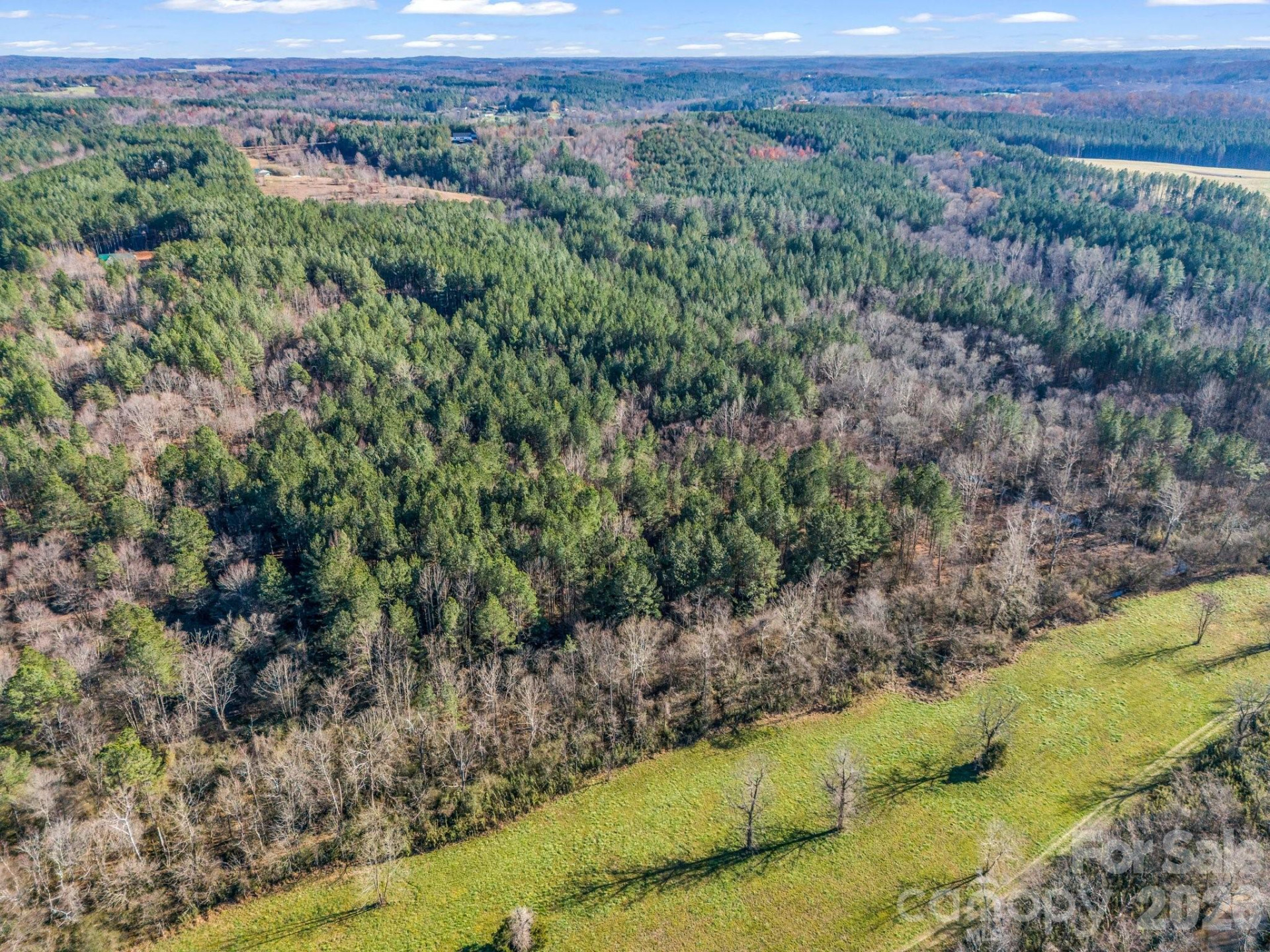 0 Farmer Johns Trail #9 - Photo 21