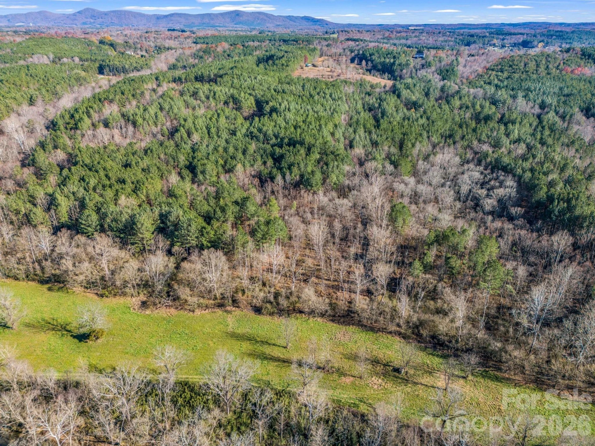 0 Farmer Johns Trail #9 - Photo 22