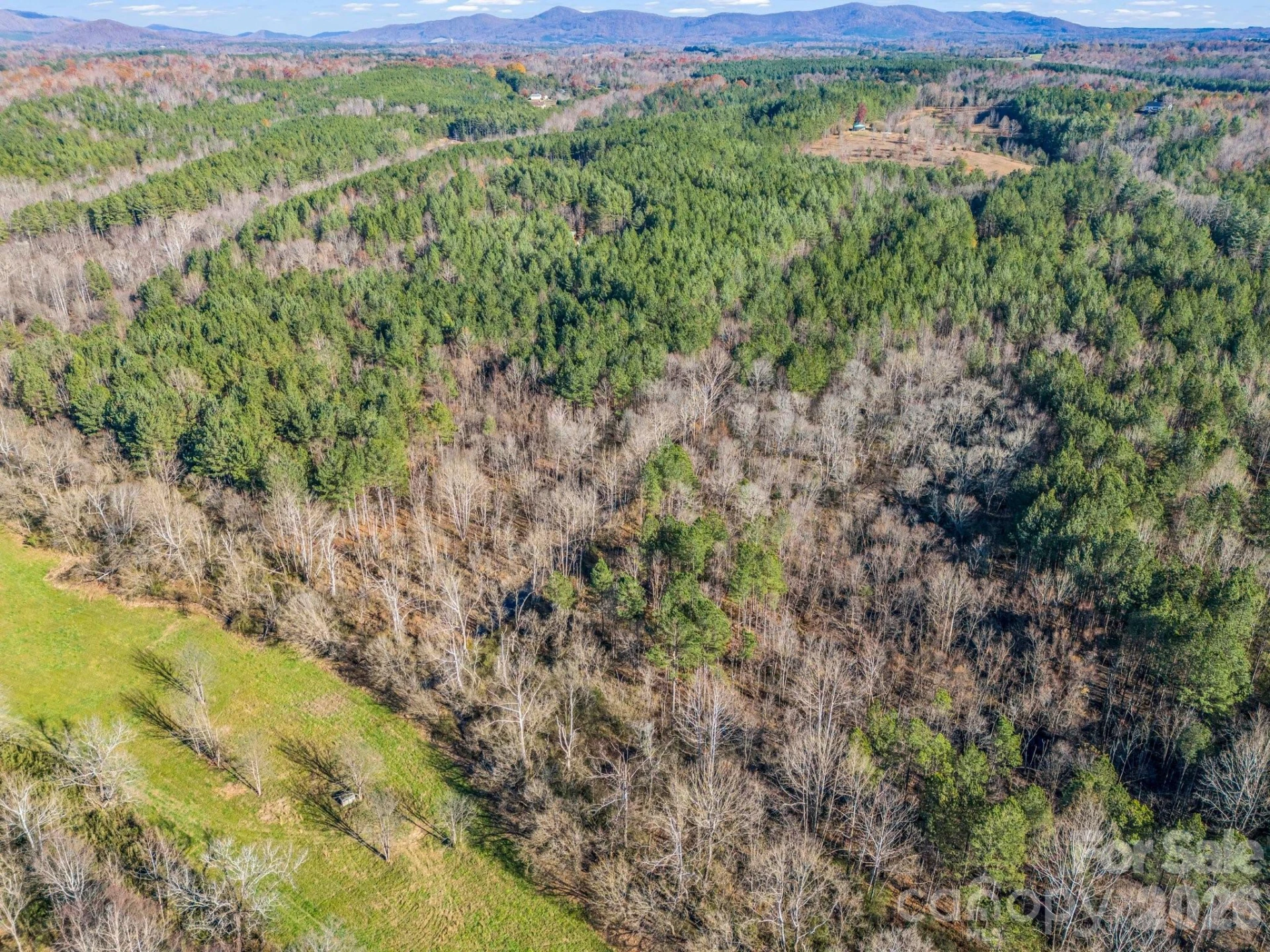 0 Farmer Johns Trail #9 - Photo 23