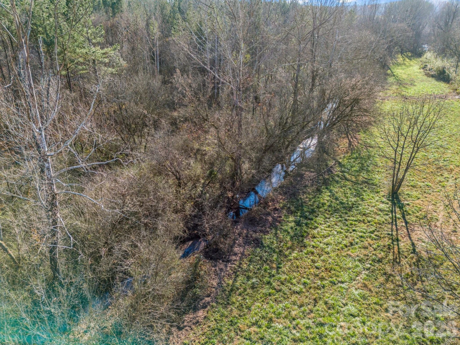0 Farmer Johns Trail #9 - Photo 24