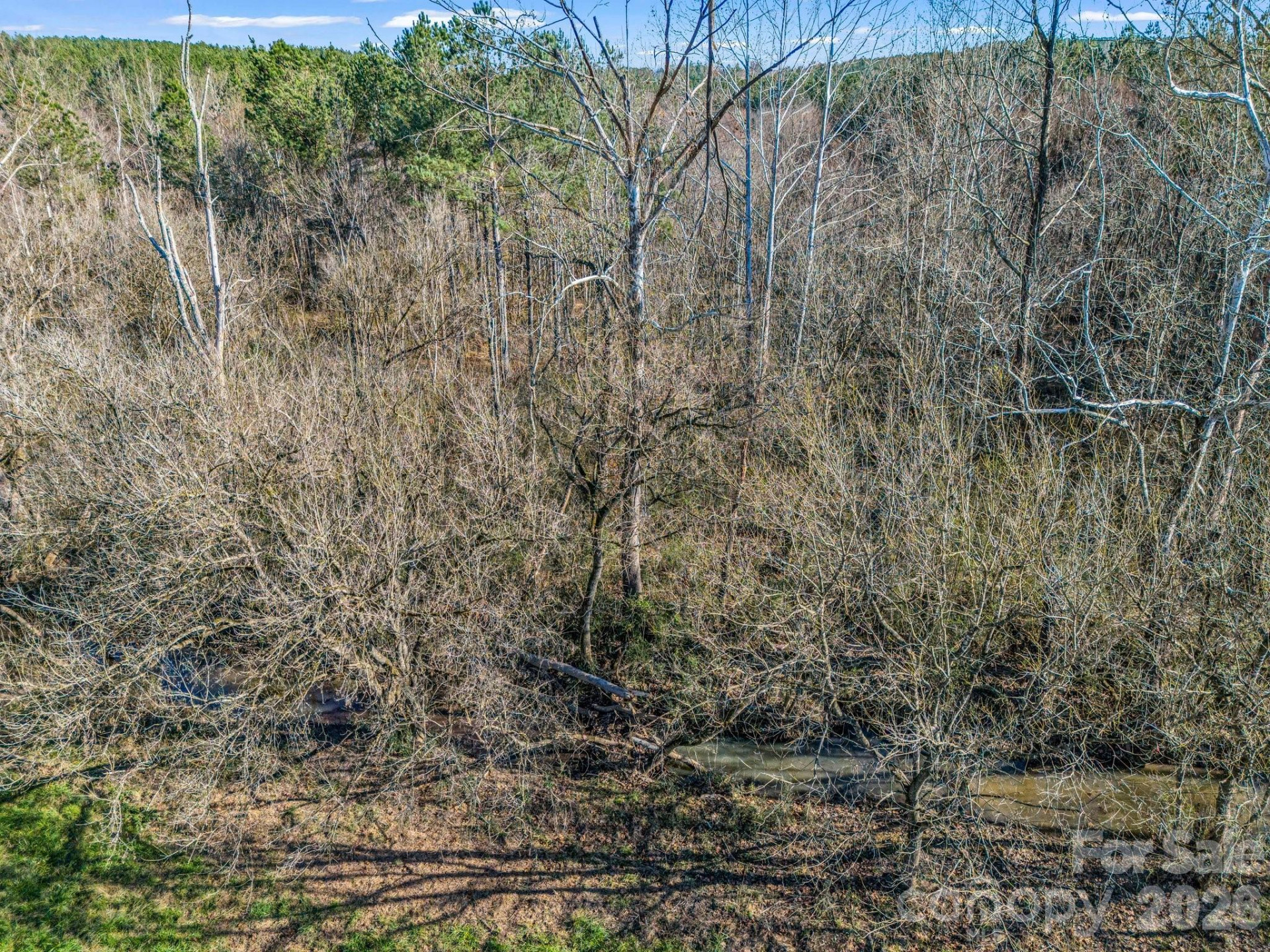 0 Farmer Johns Trail #9 - Photo 25