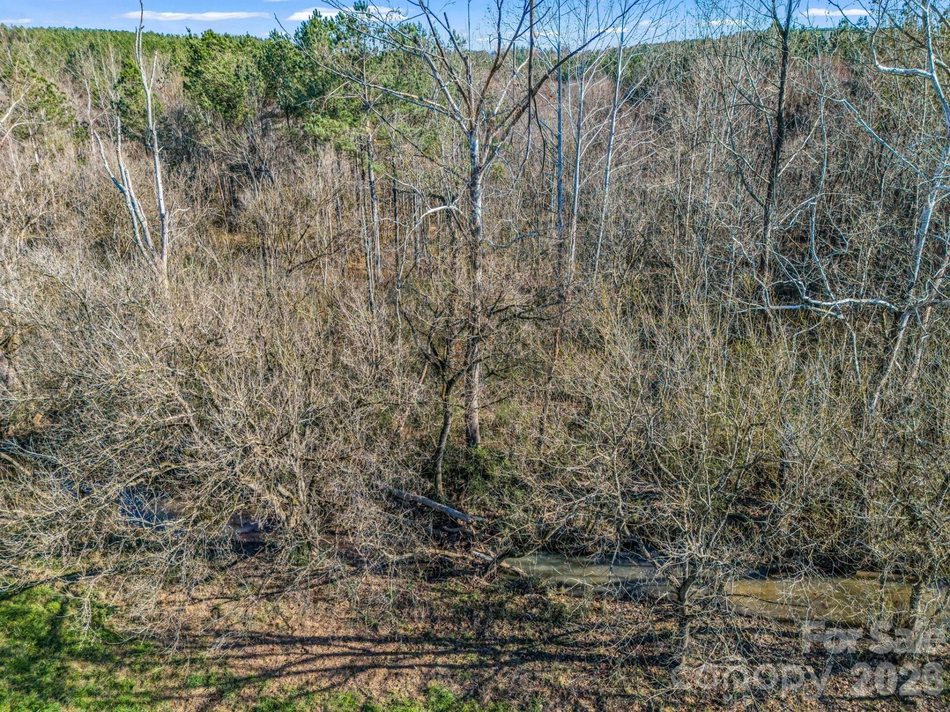0 Farmer Johns Trail #9 - Photo 25