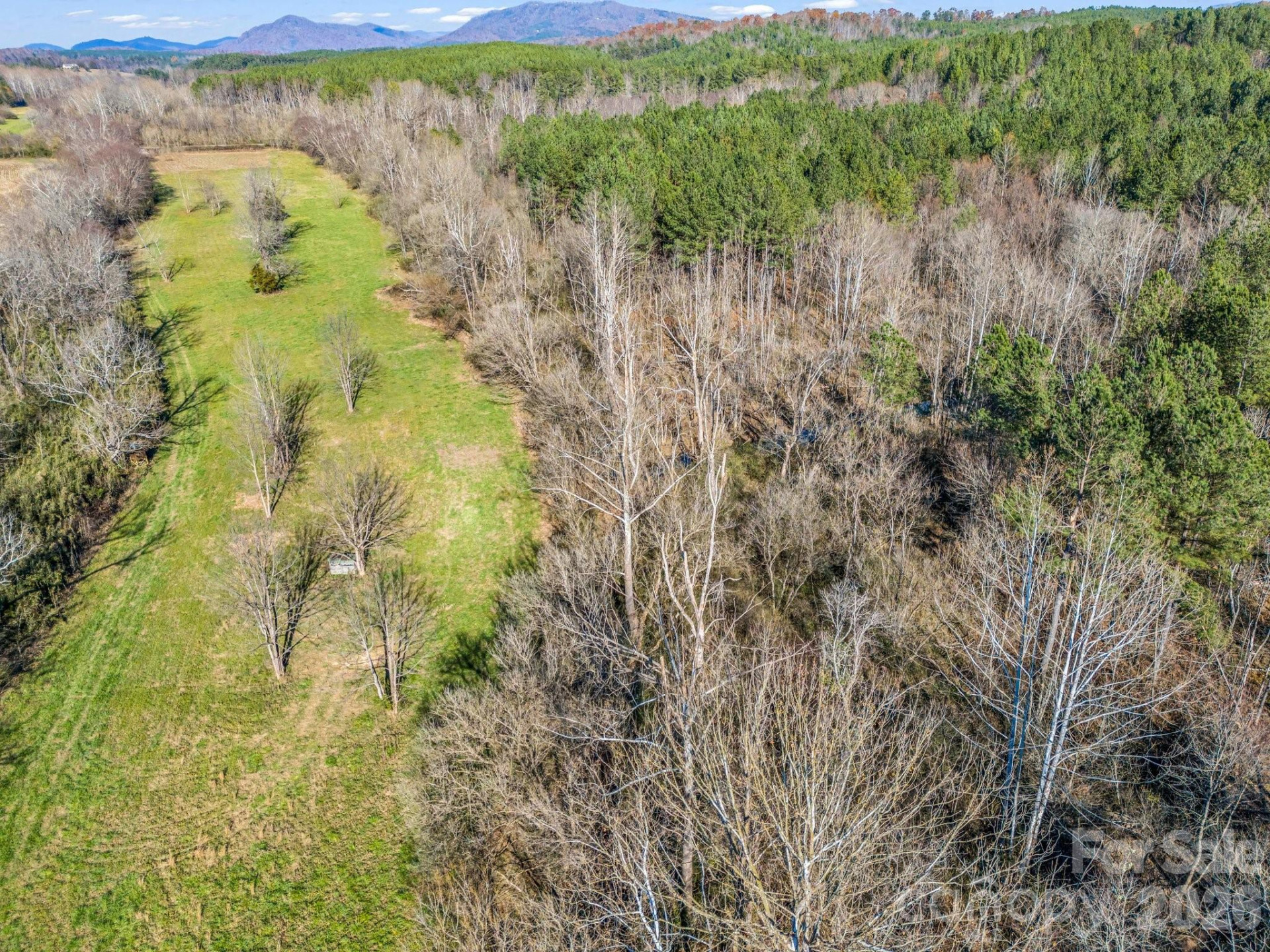 0 Farmer Johns Trail #9 - Photo 27