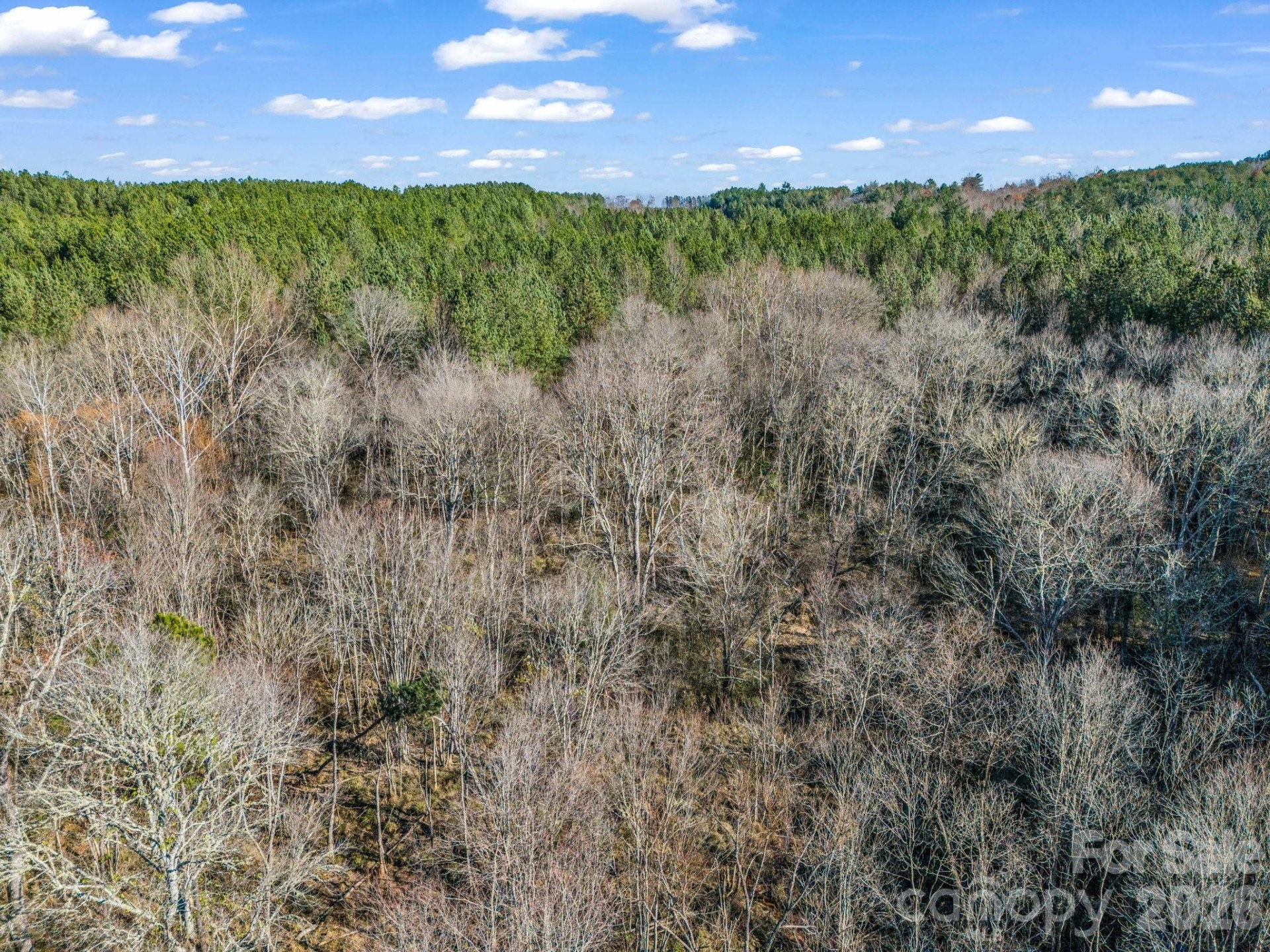 0 Farmer Johns Trail #9 - Photo 28