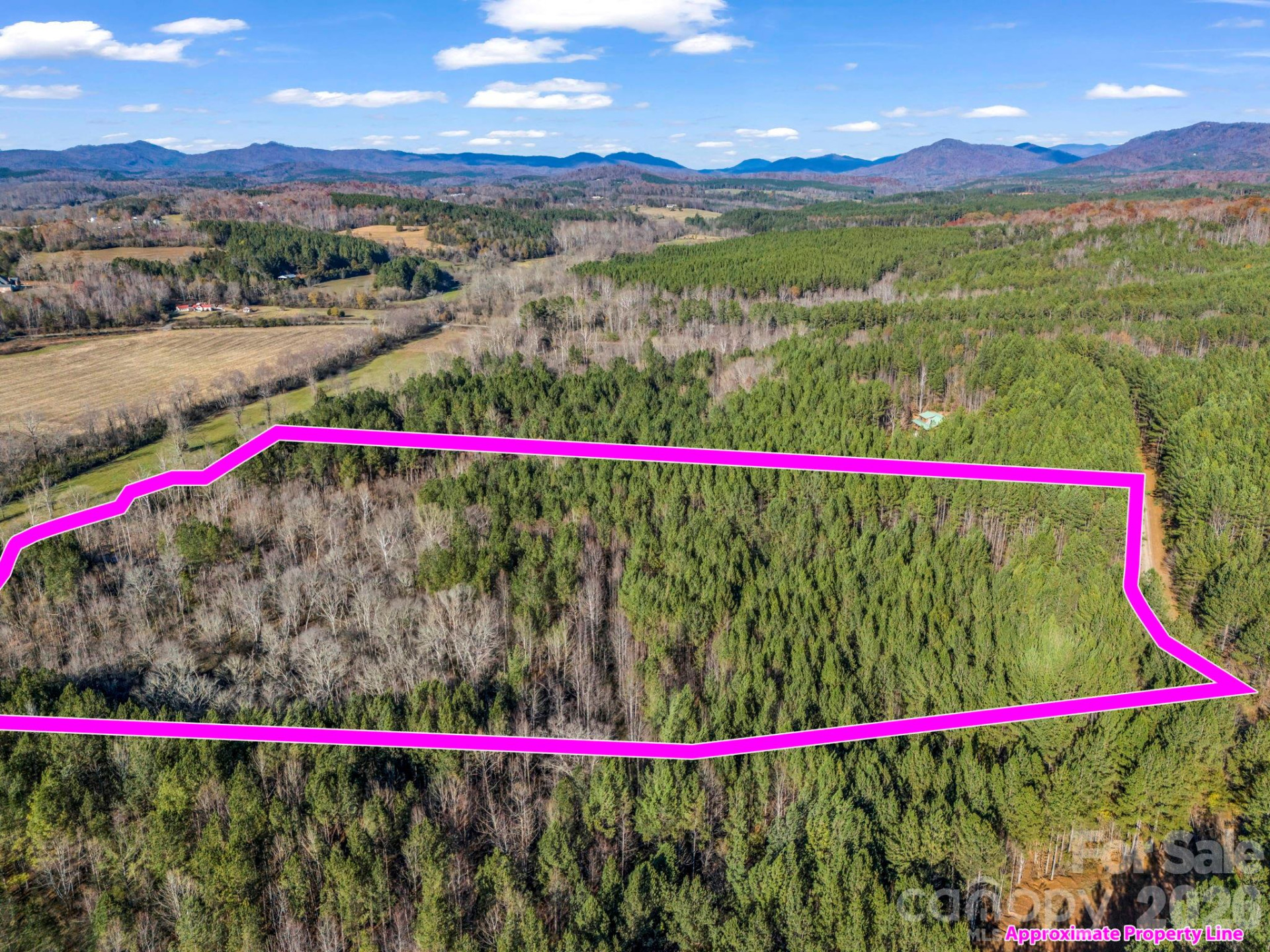 0 Farmer Johns Trail #9 - Photo 4