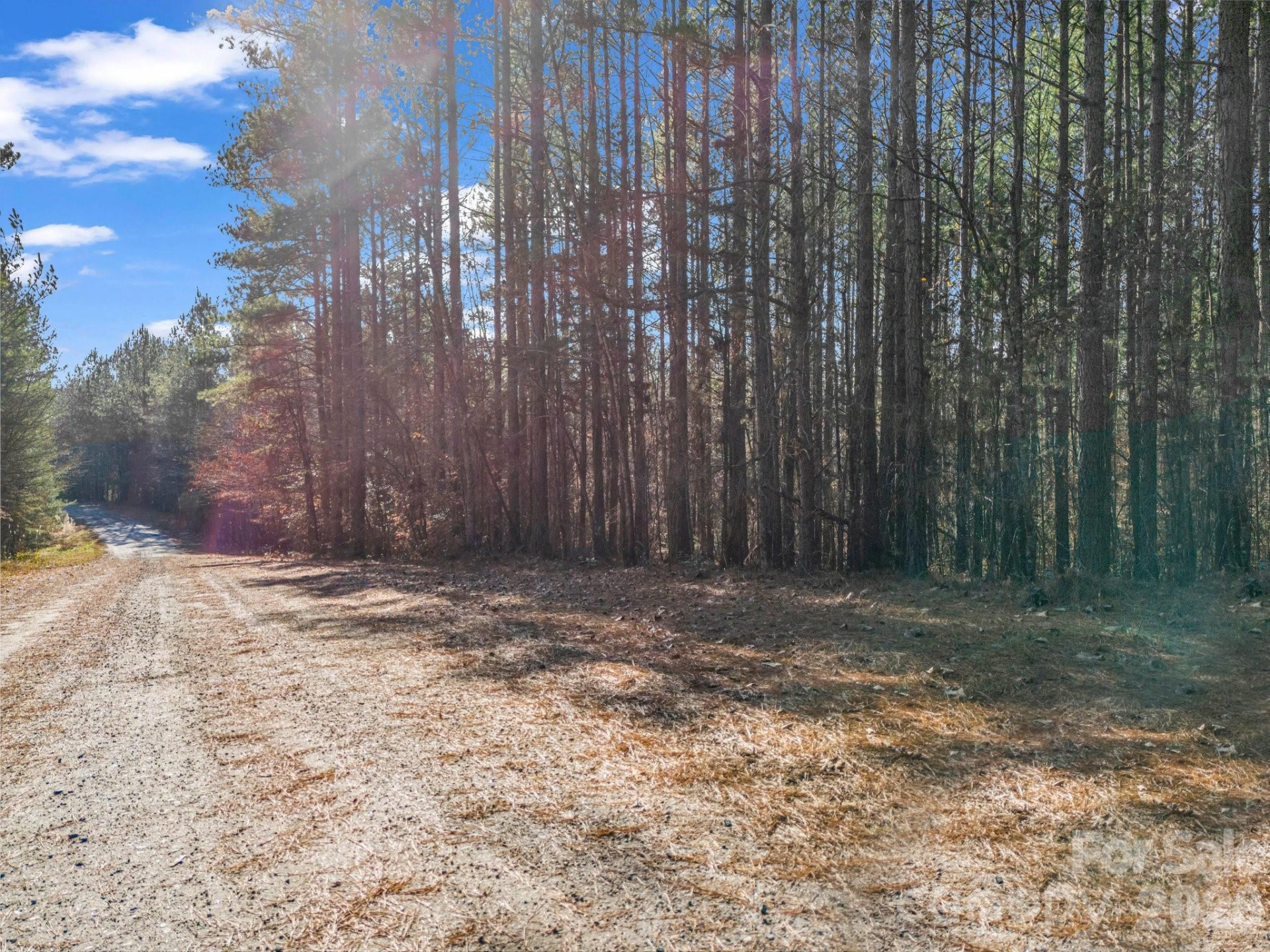 0 Farmer Johns Trail #9 - Photo 5