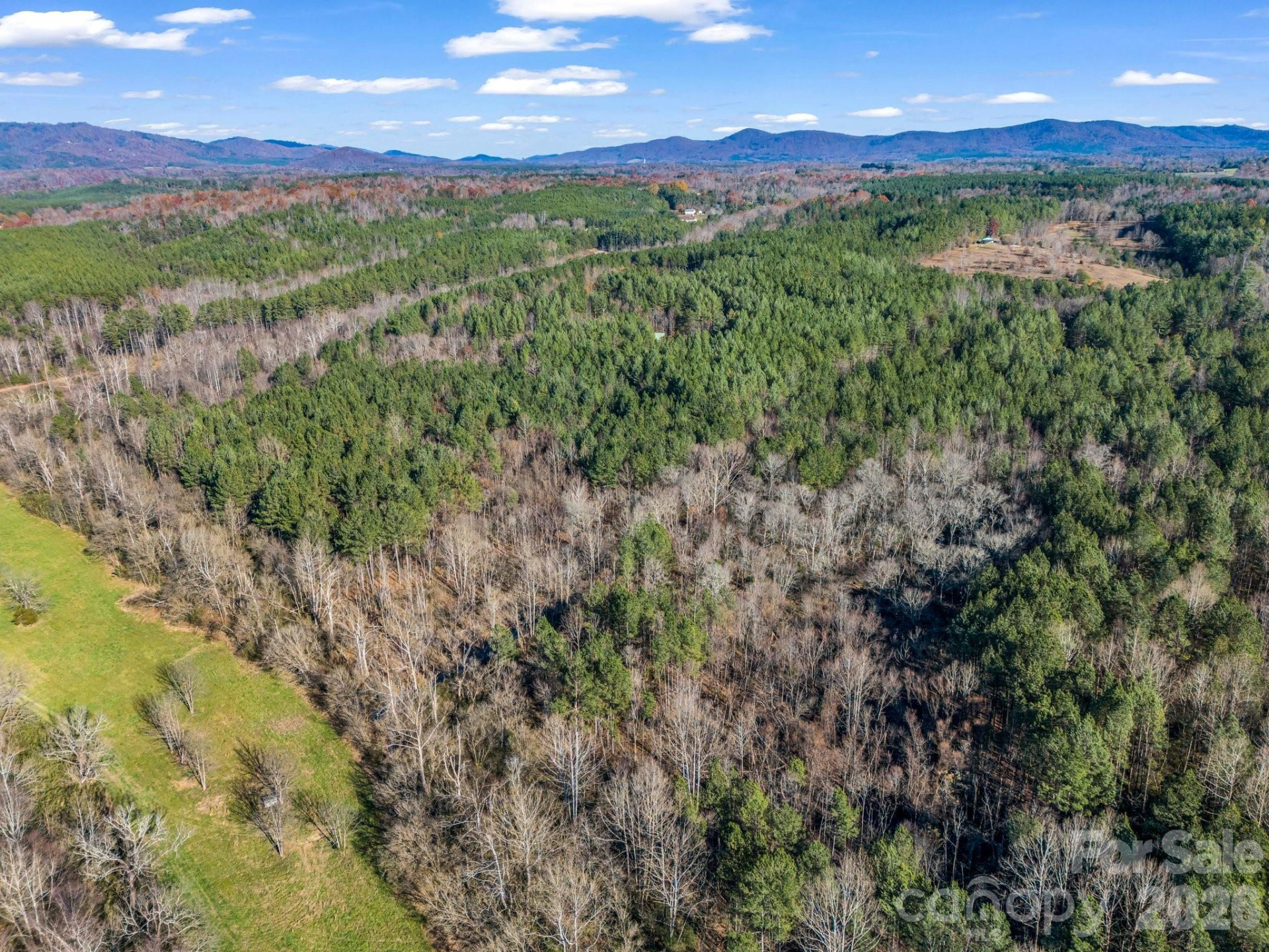 0 Farmer Johns Trail #9 - Photo 7