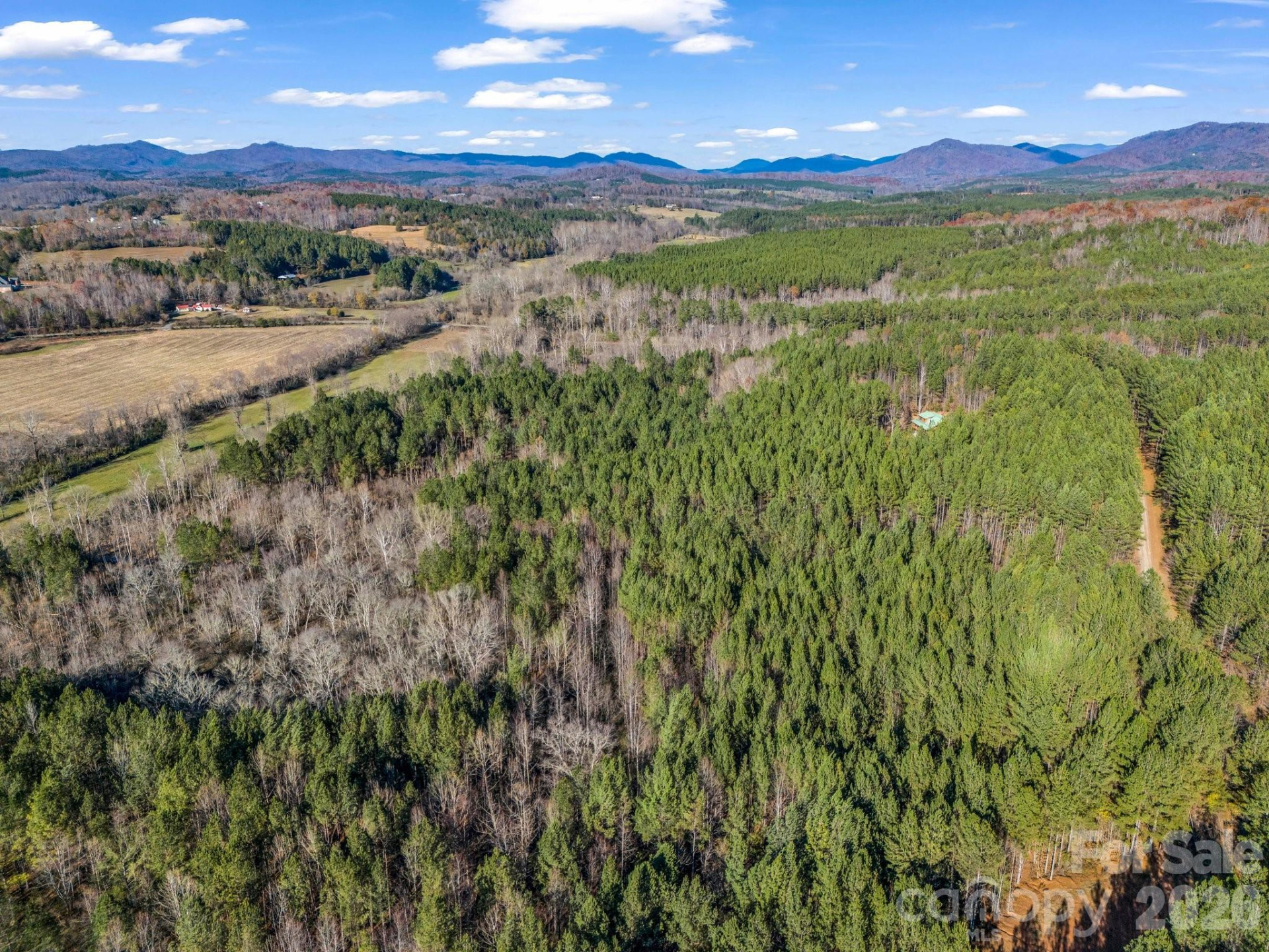 0 Farmer Johns Trail #9 - Photo 8