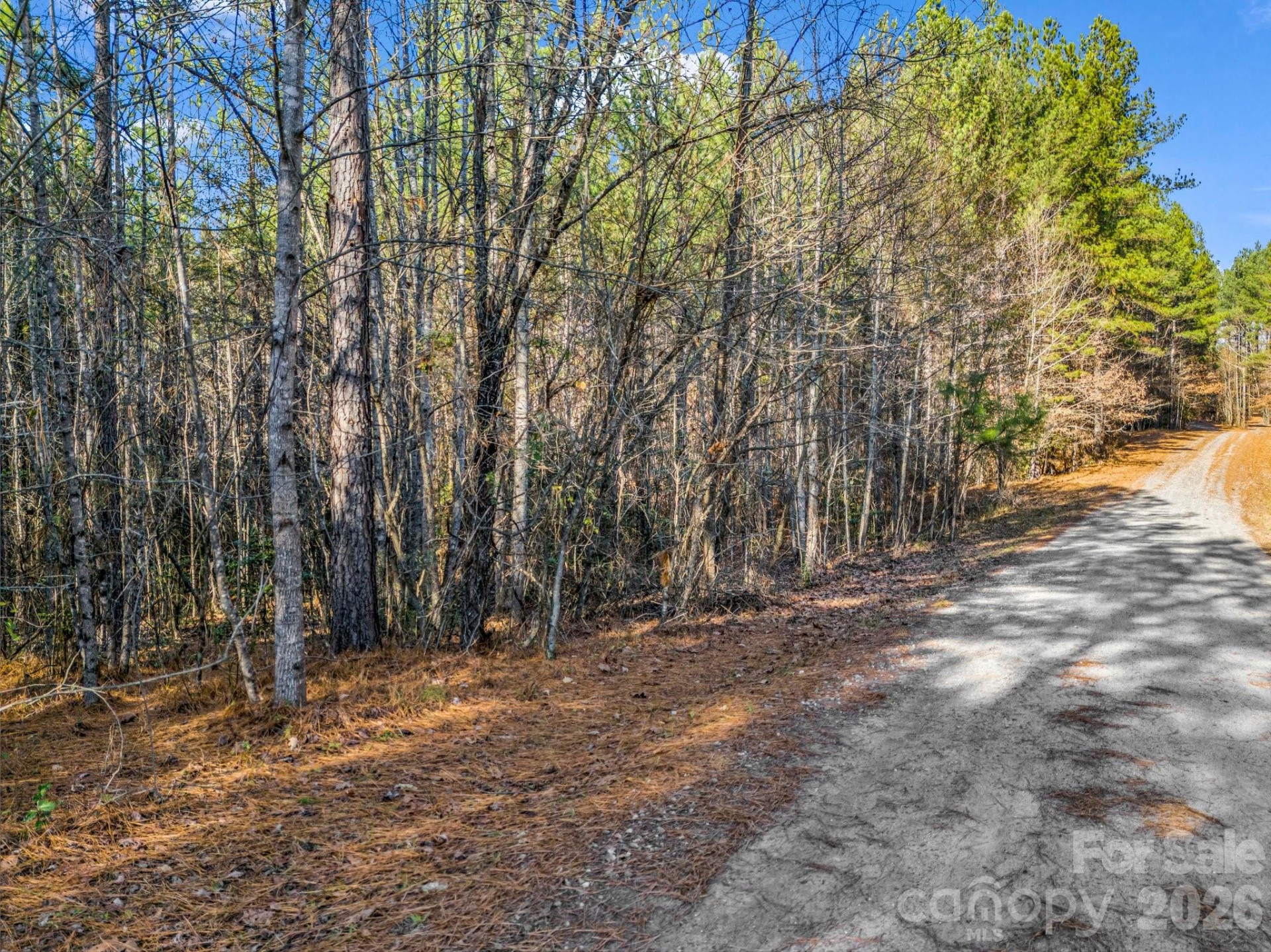 0 Farmer Johns Trail #9 - Photo 9