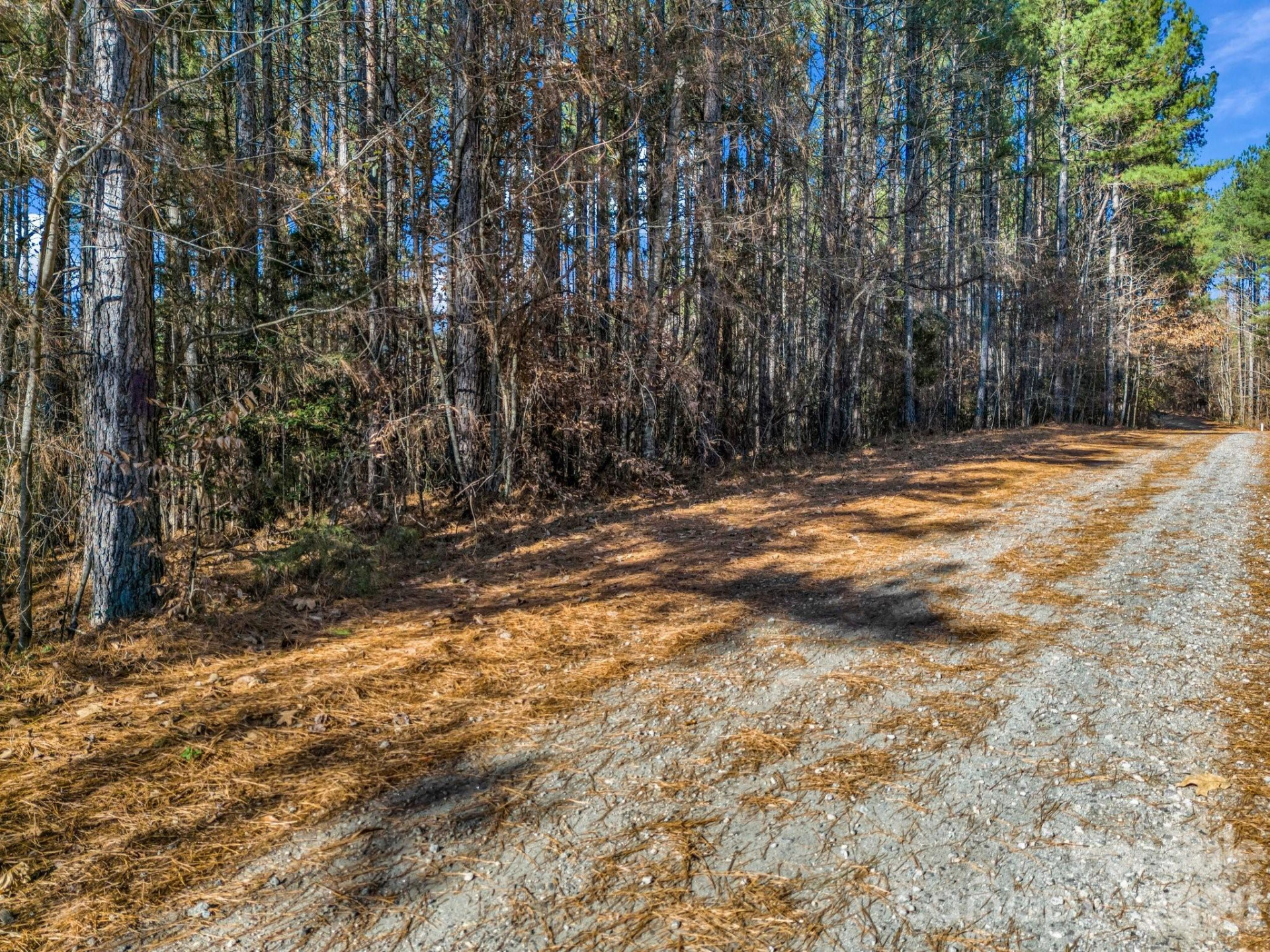 0 Farmer Johns Trail #9 - Photo 10