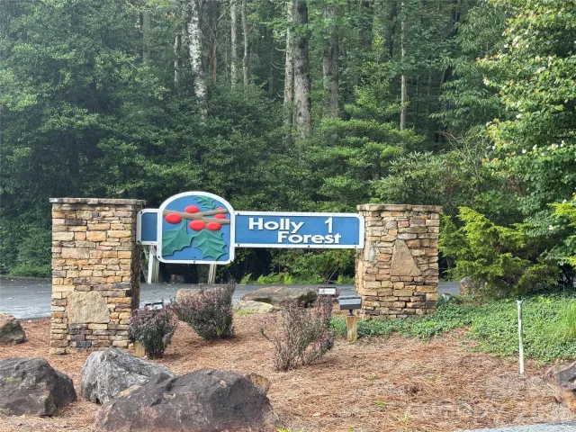 66 Christy Trail, Sapphire, NC, 28774