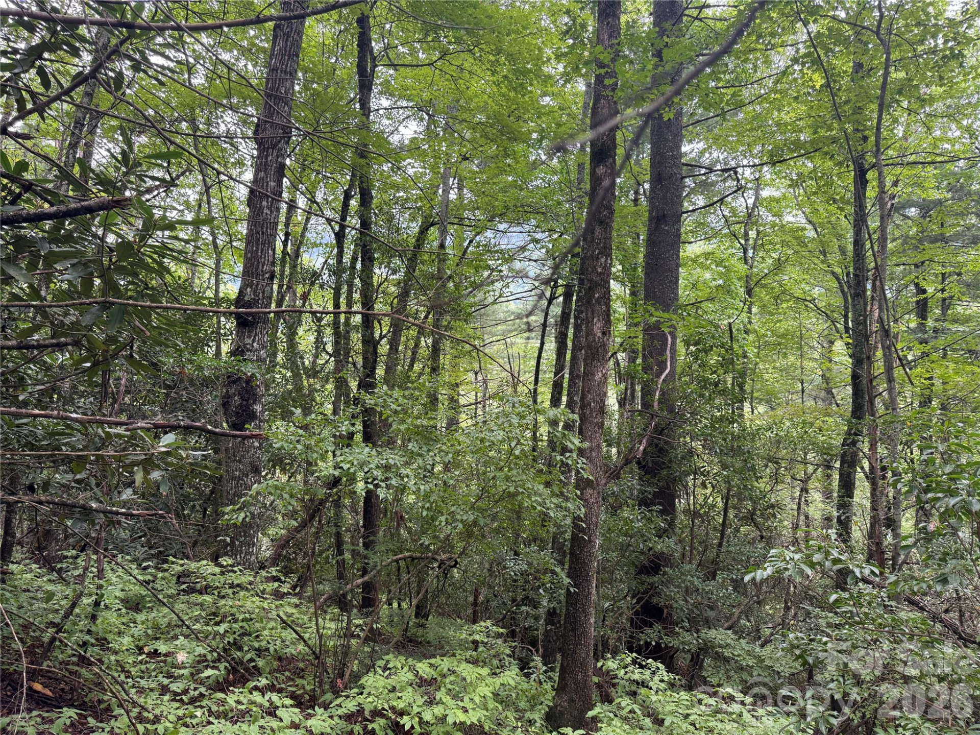 66 Christy Trail - Photo 2