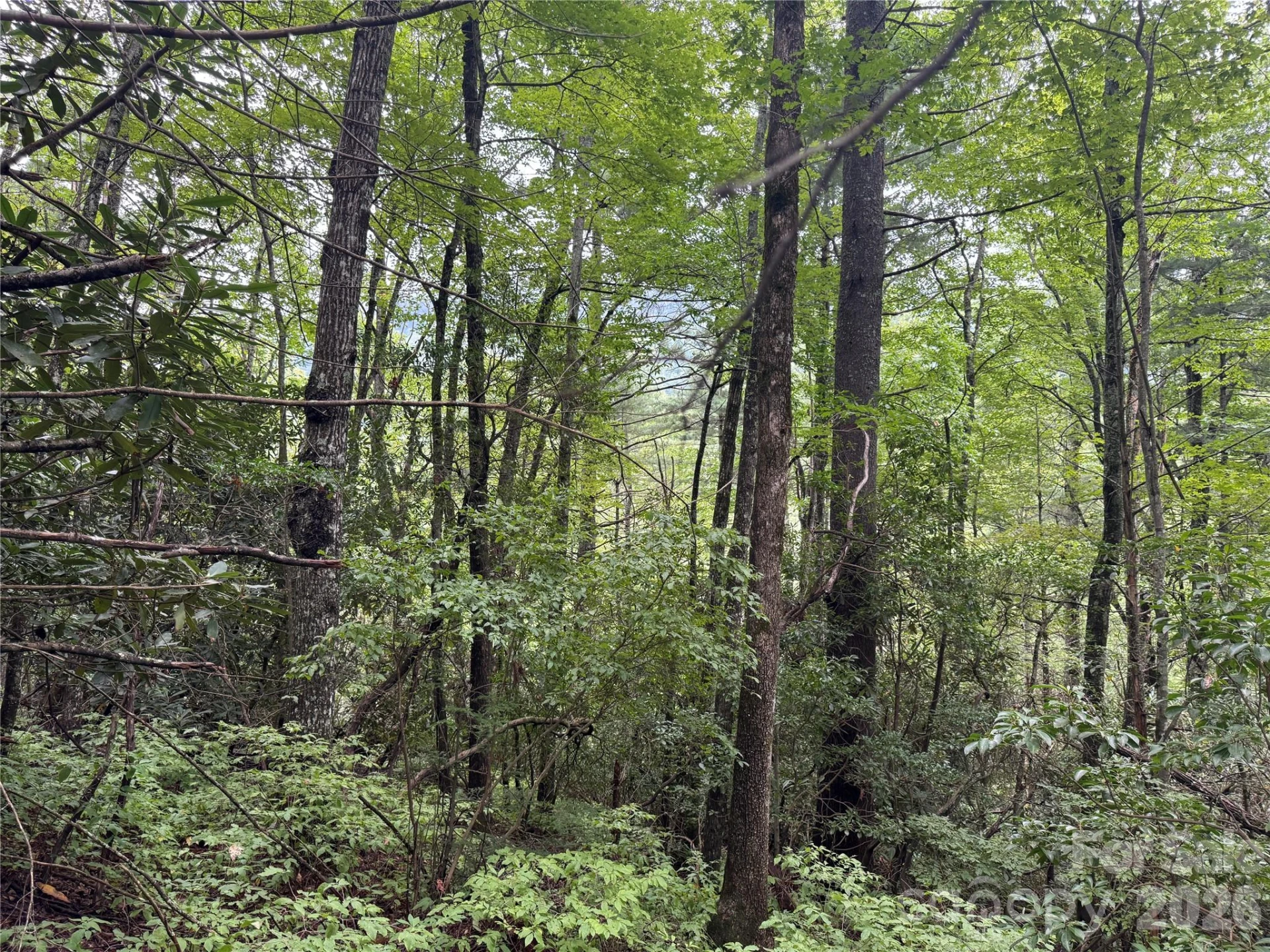 66 Christy Trail - Photo 2