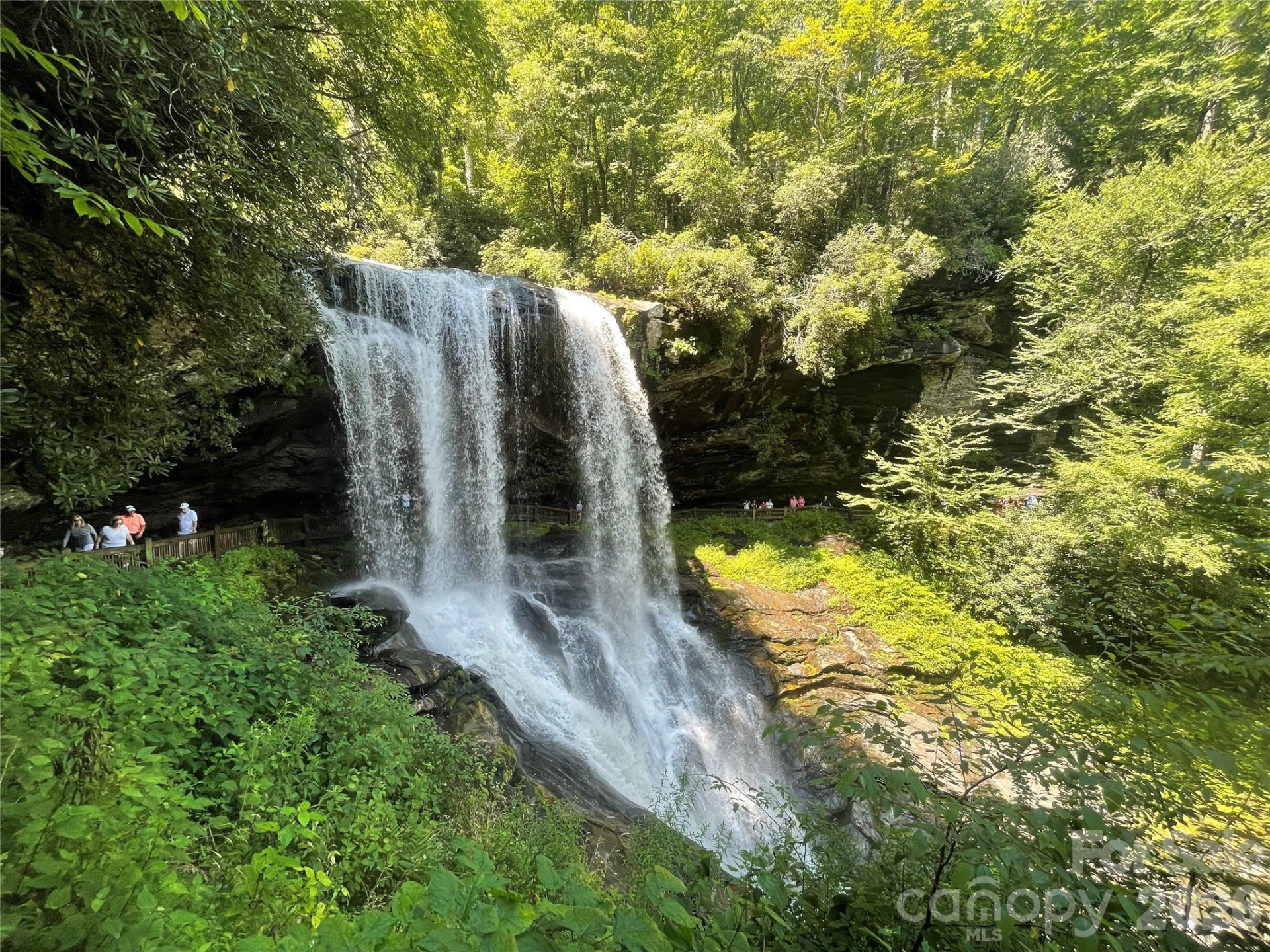 66 Christy Trail - Photo 7