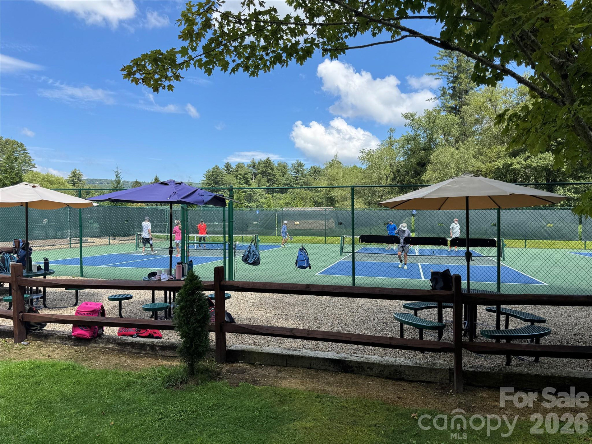 66 Christy Trail - Photo 8