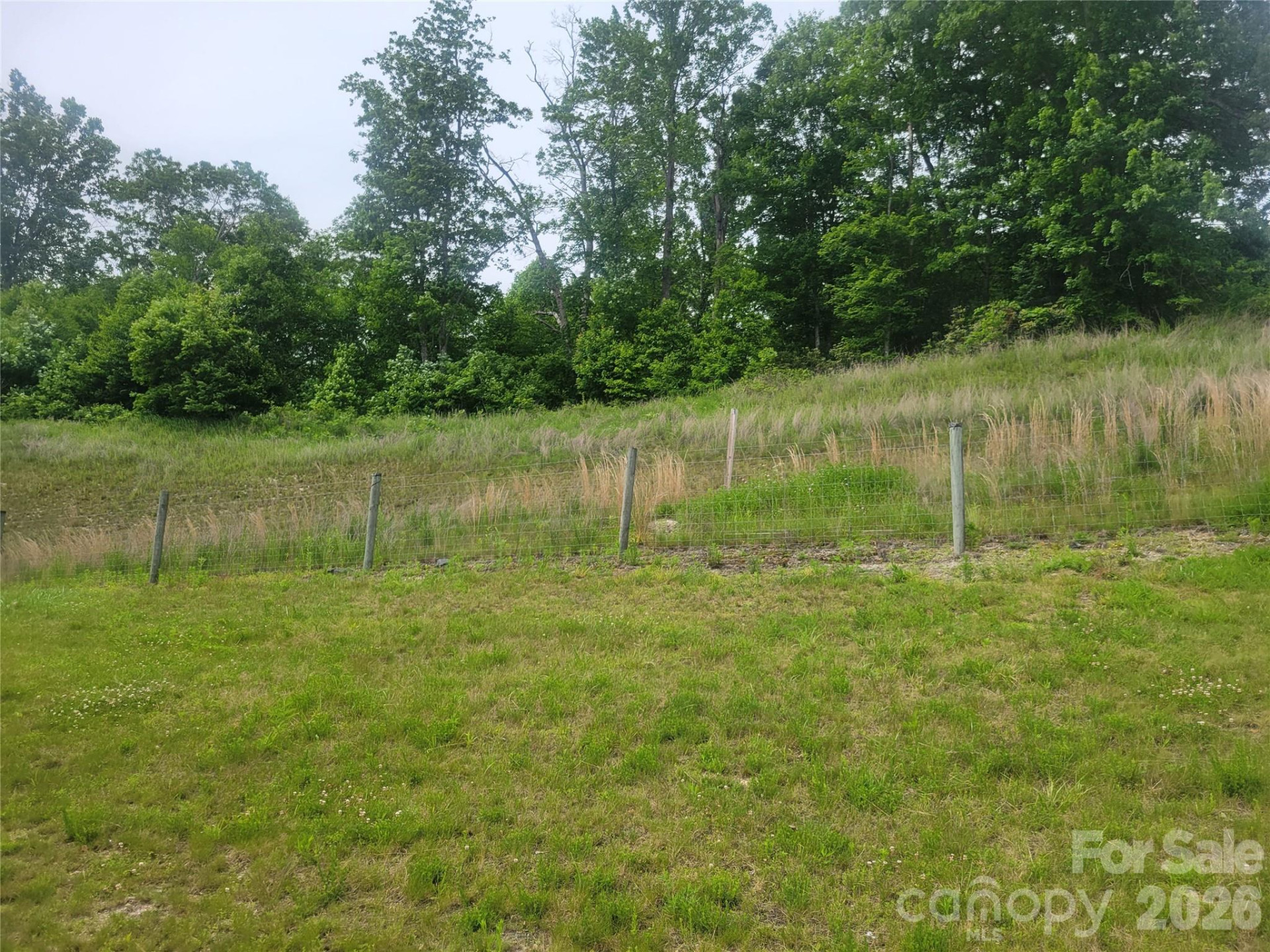 6045 US 19E Highway - Photo 10