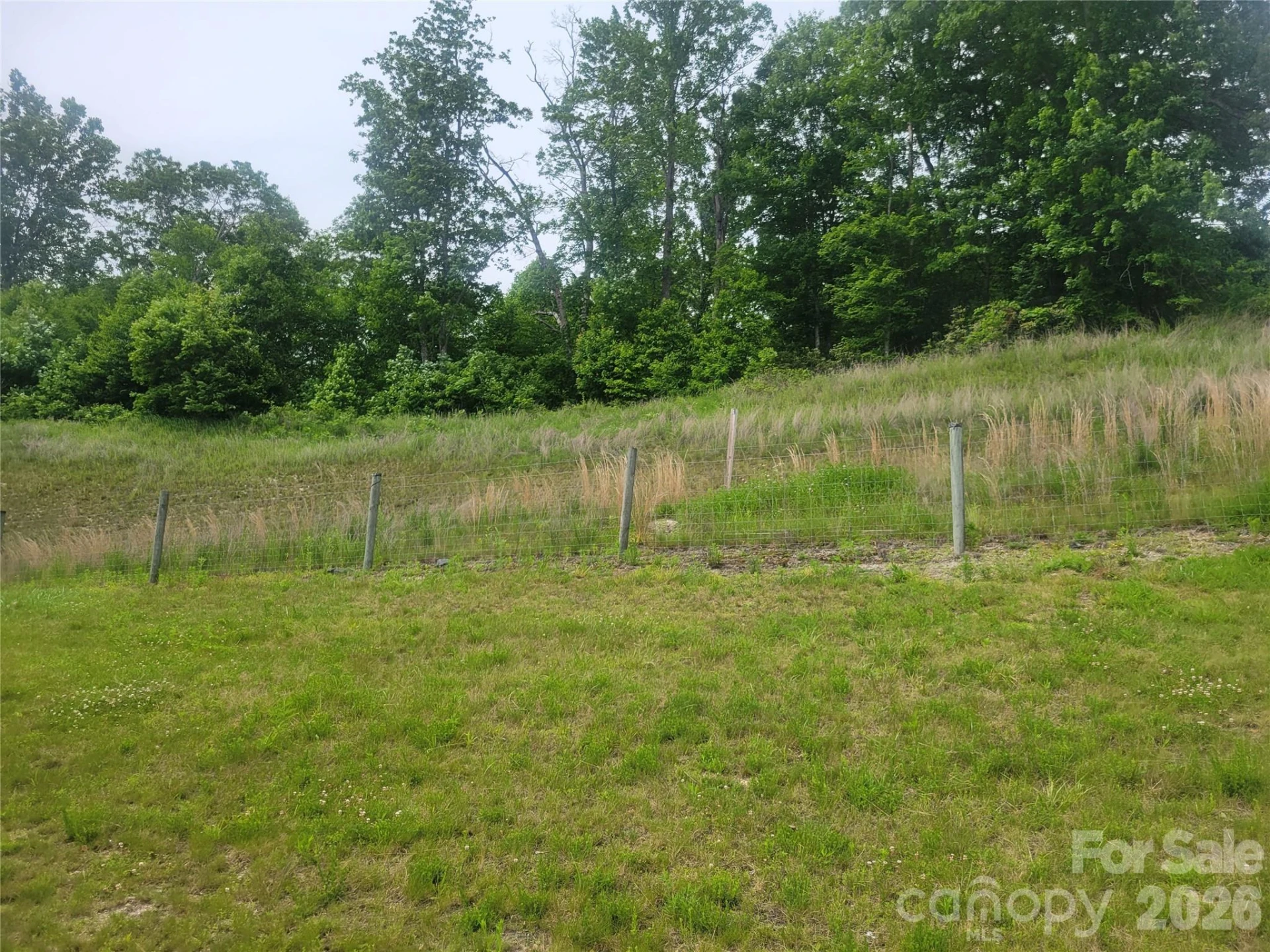 6045 US 19E Highway - Photo 10